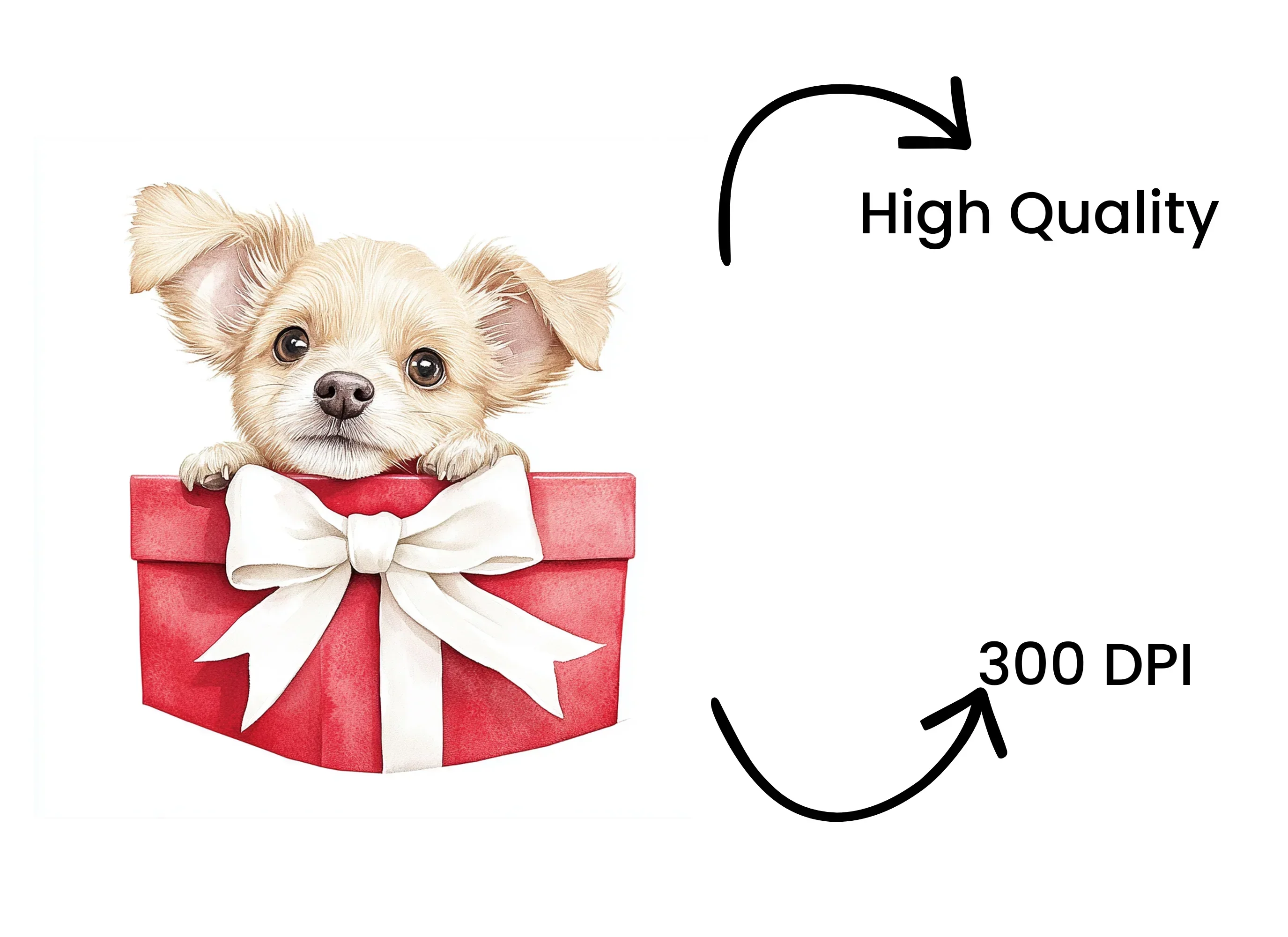 Cute Chihuahua Puppy in Red Gift Box Clipart Bundle - Image 4