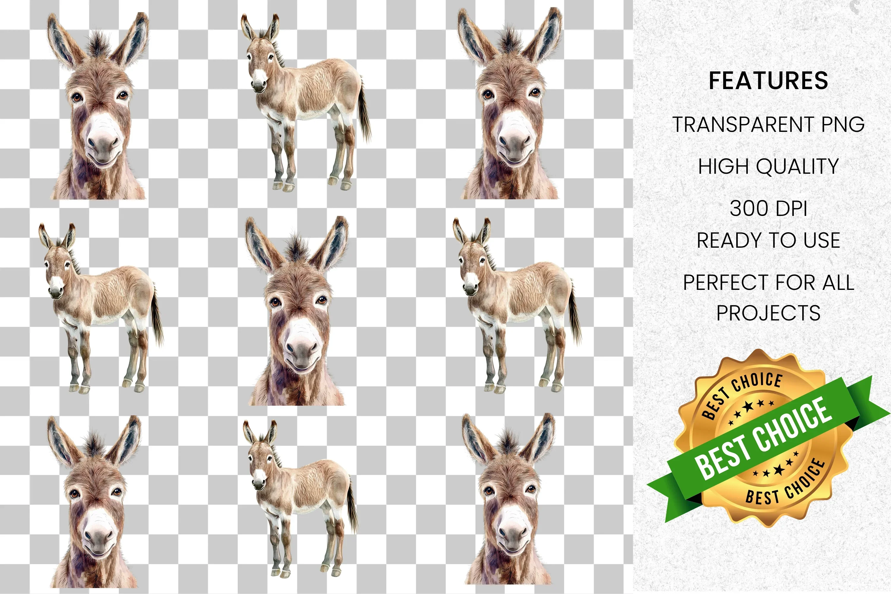 Cute Donkey Clipart Bundle - Image 8