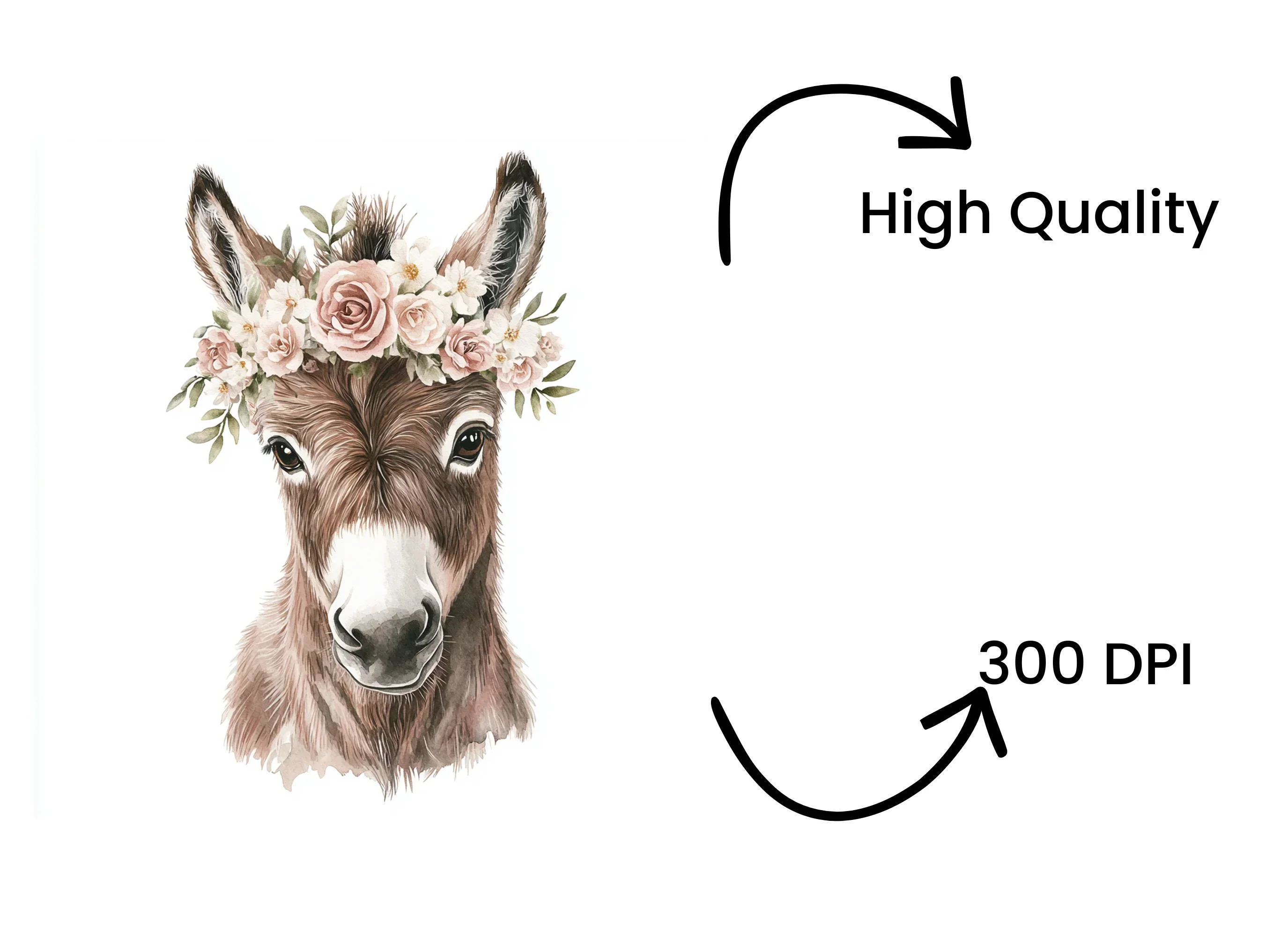 Cute Donkey Flower Crown Clipart Bundle - Image 4