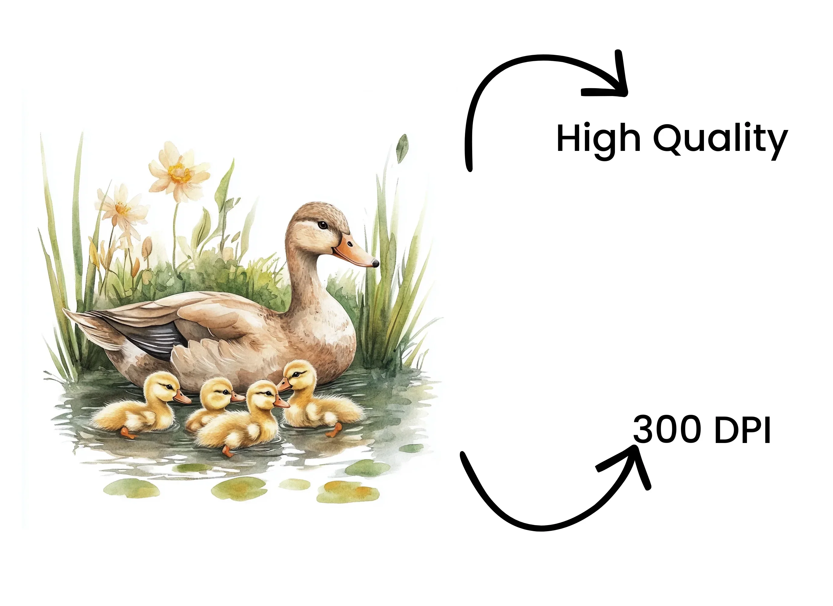 Cute Duck and Ducklings Clipart Bundle - Image 4