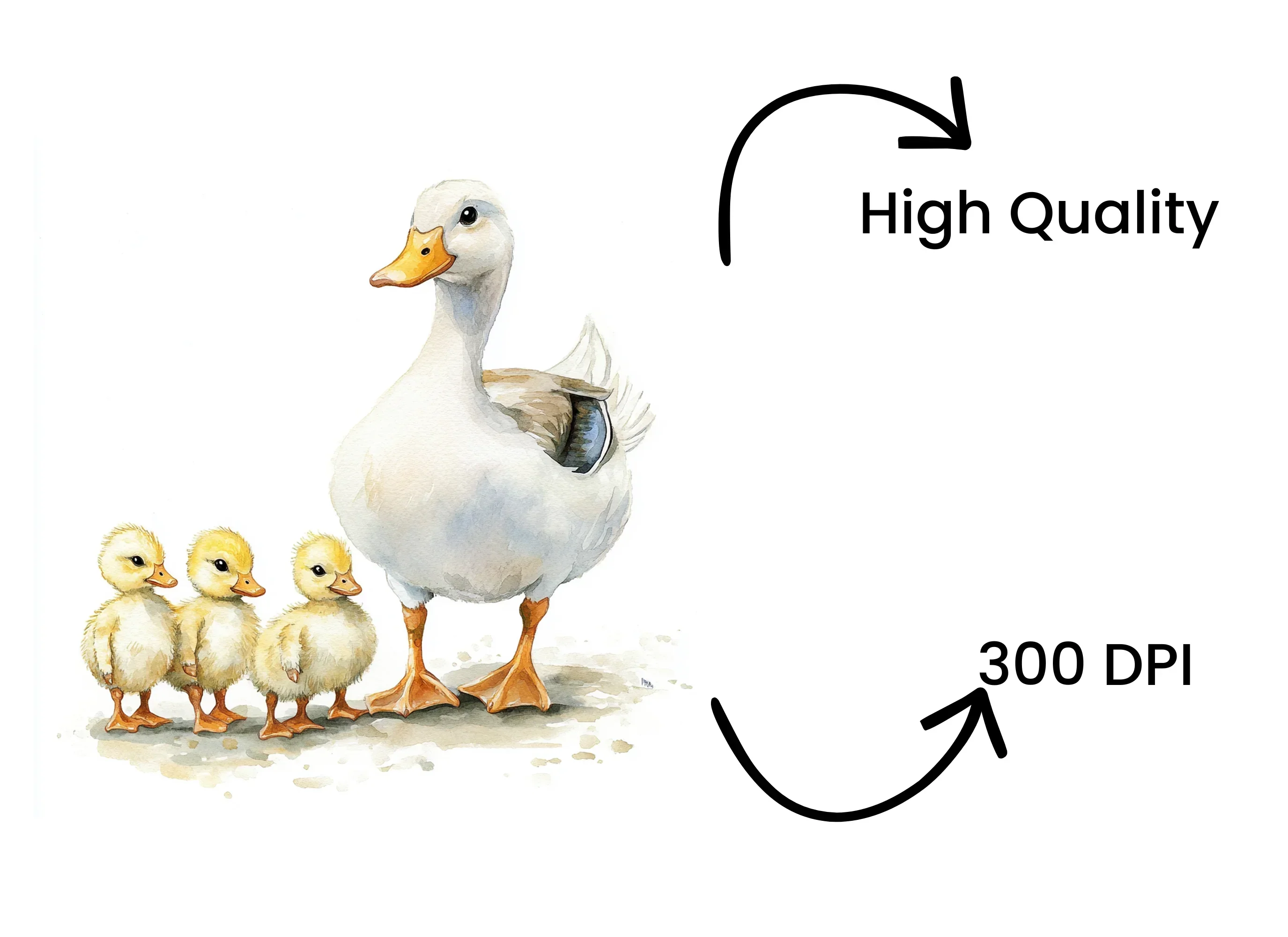 Cute Duck Family Clipart Bundle - Image 4