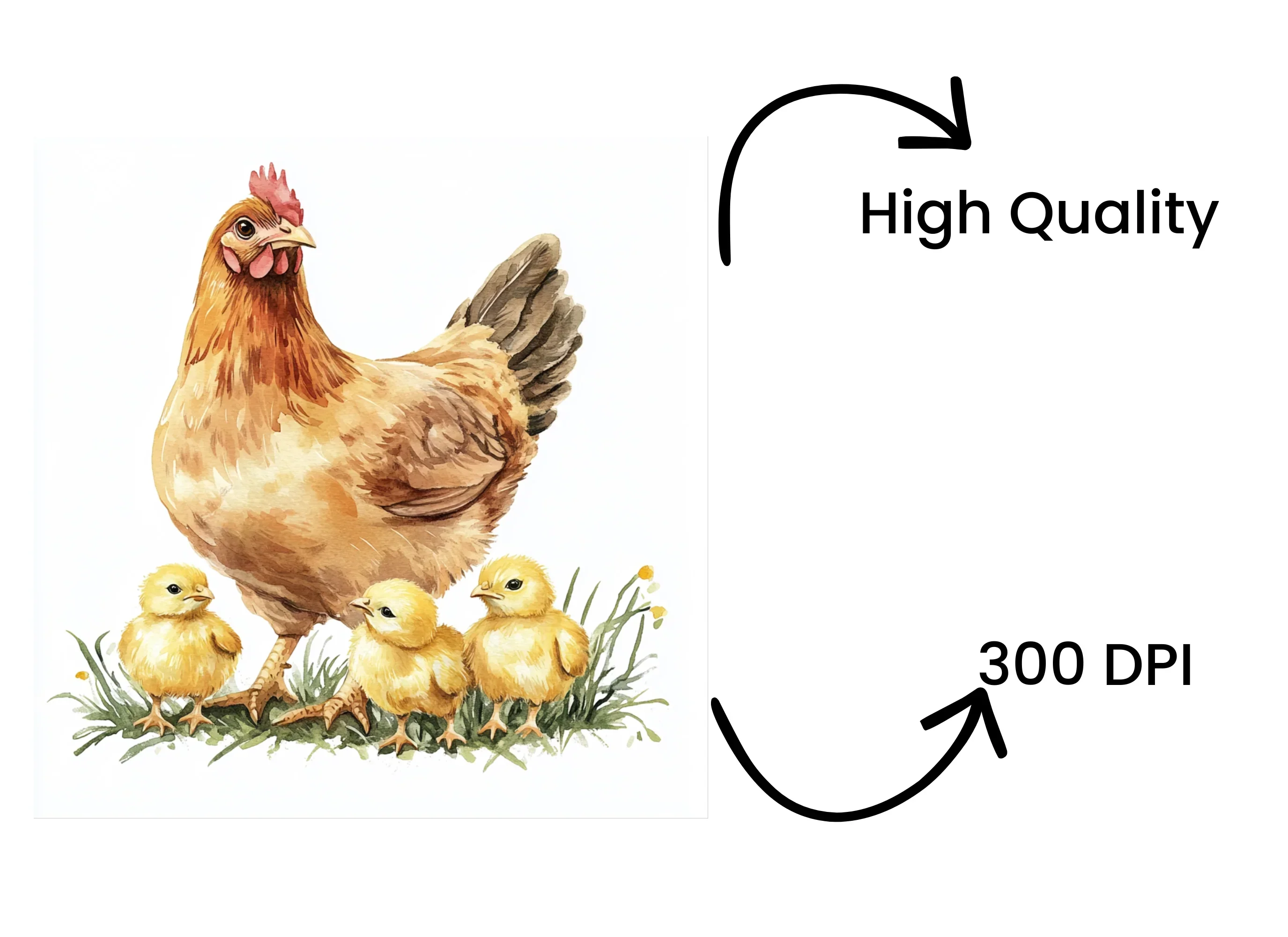 Cute Farm Animal Hen Chicks Clipart Bundle - Image 4