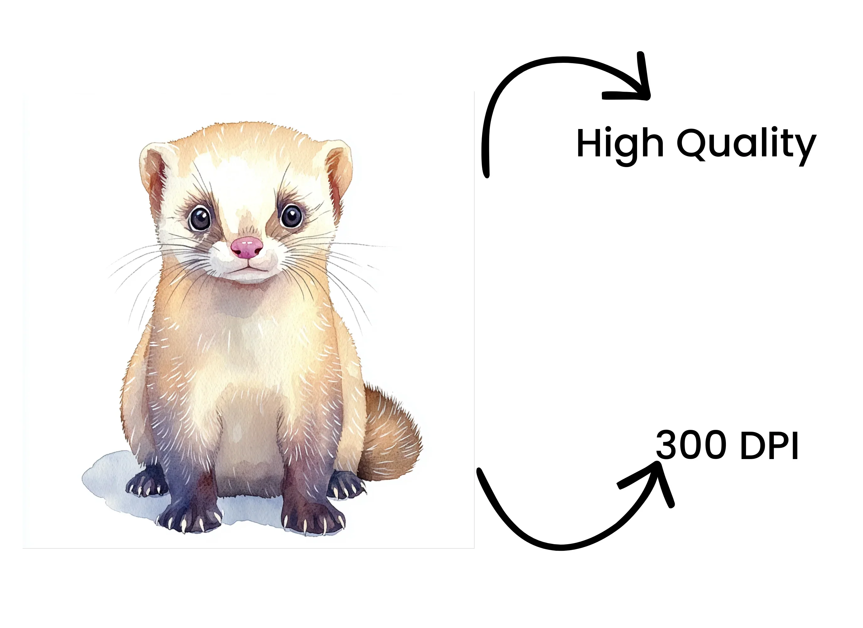 Cute Ferret Clipart Bundle - Image 4