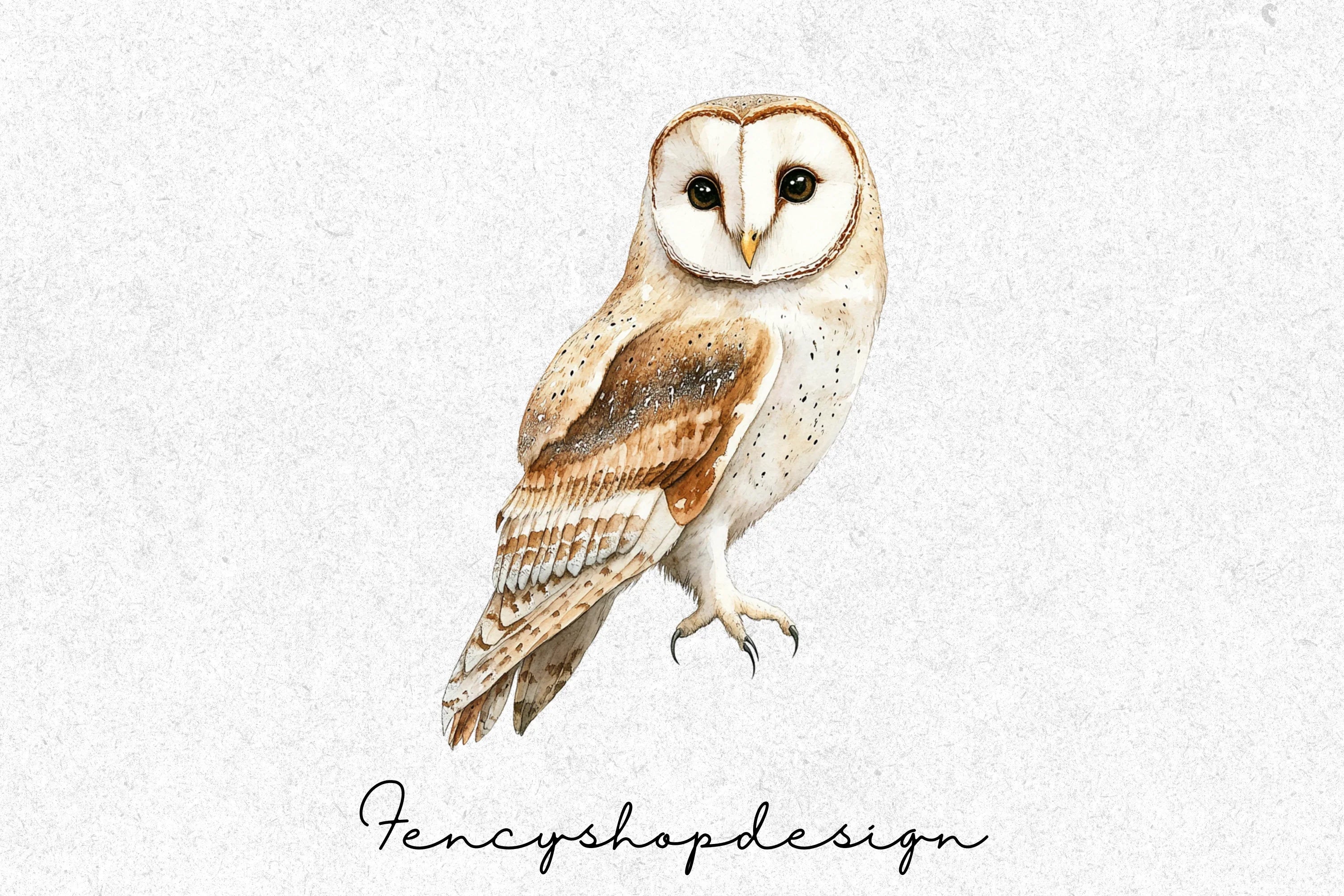 Cute Floral Owl Clipart Bundle - Image 4