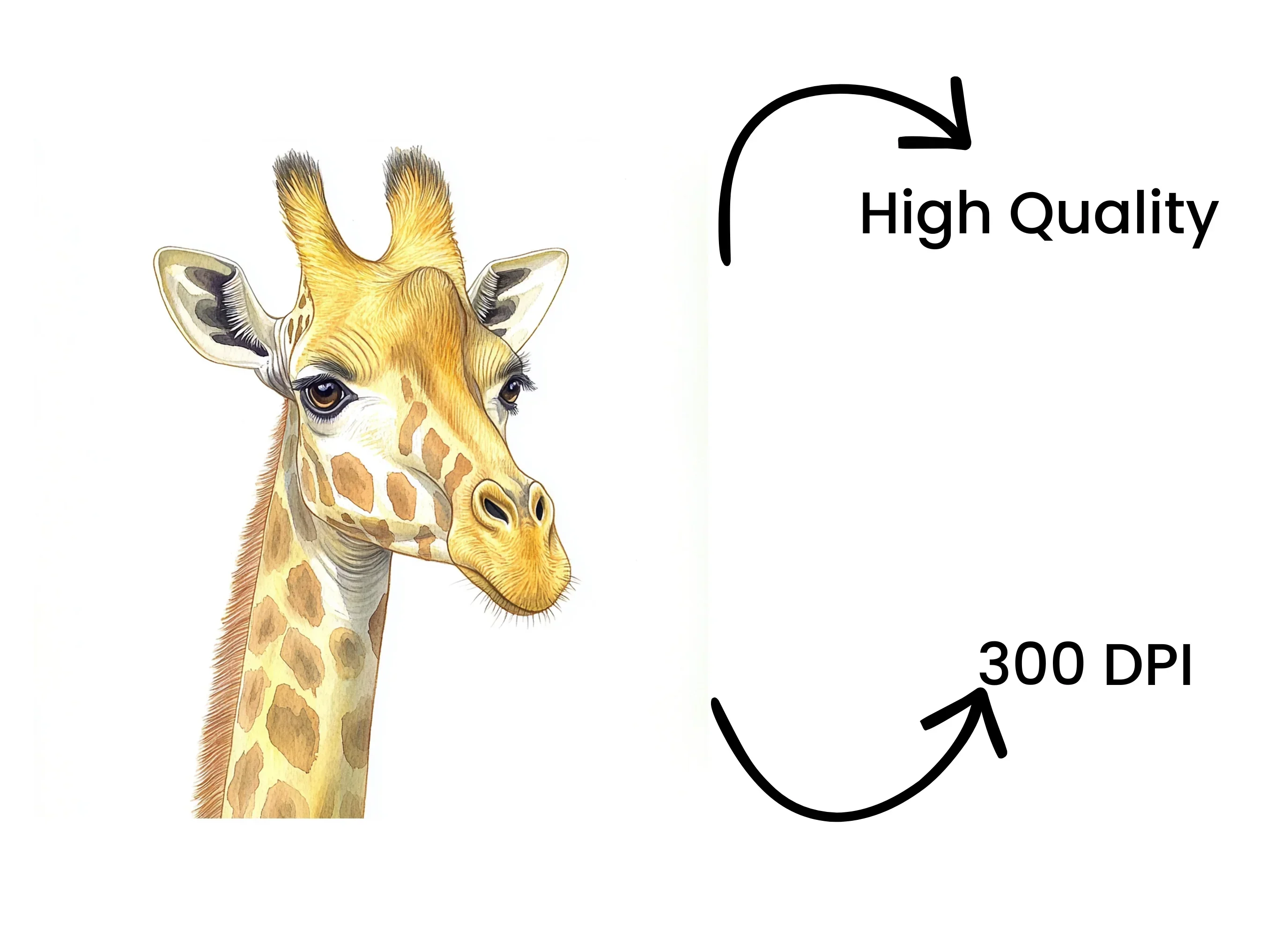 Cute Giraffe Faces Clipart Bundle - Image 4