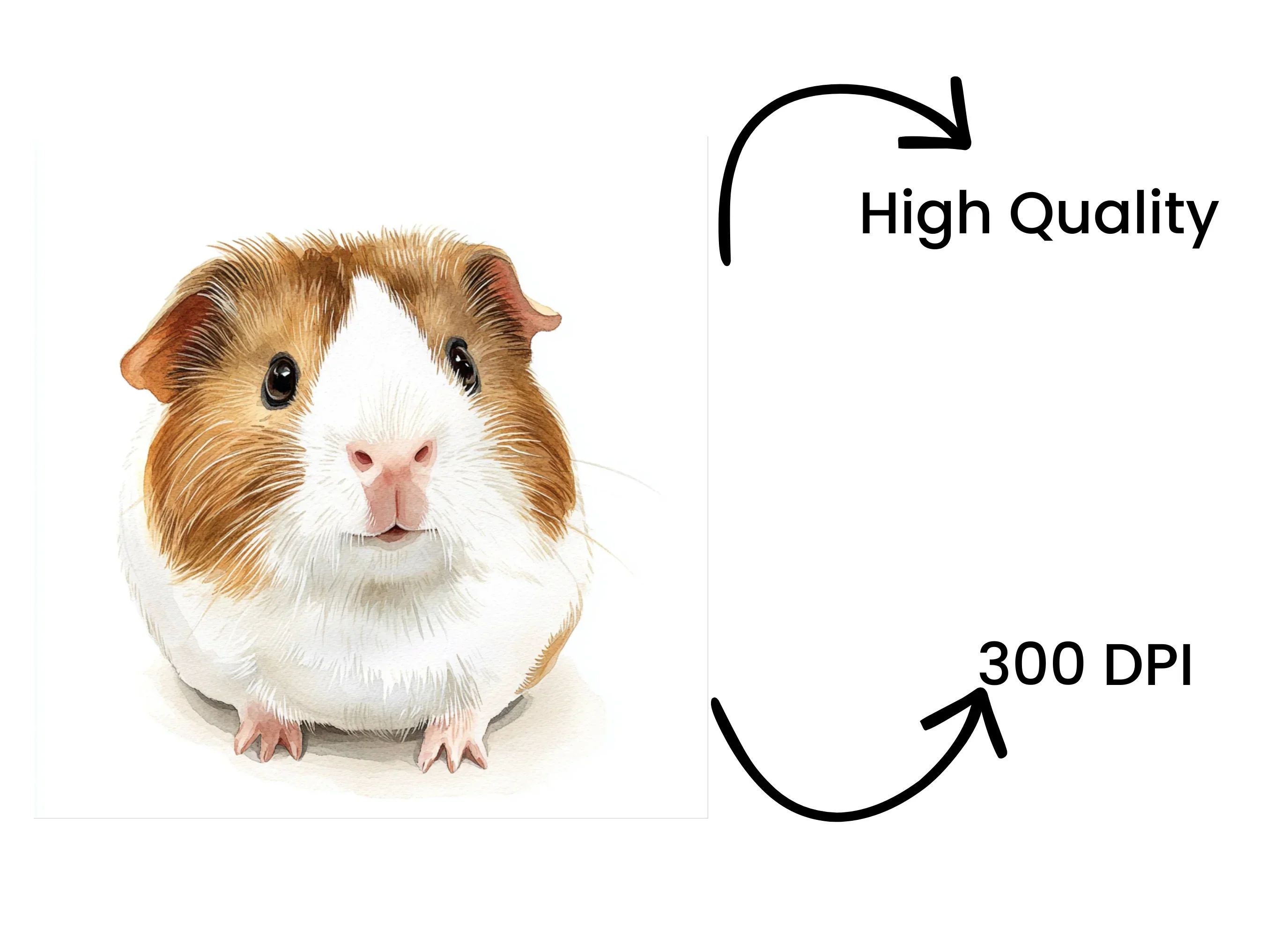 Cute Guinea Pig Clipart Bundle - Image 4