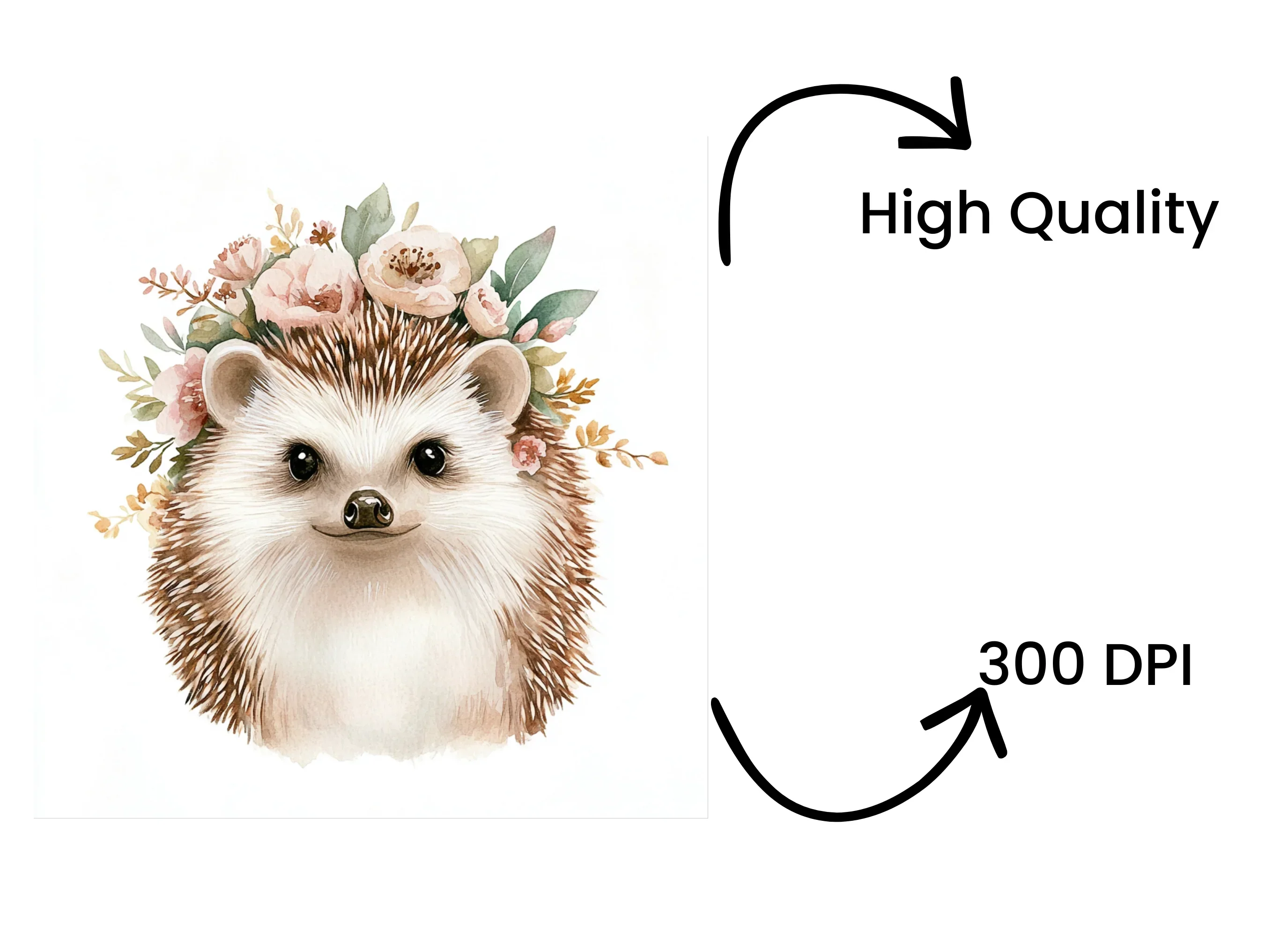Cute Hedgehog Faces with Floral Crowns Clipart Bundle - Image 4