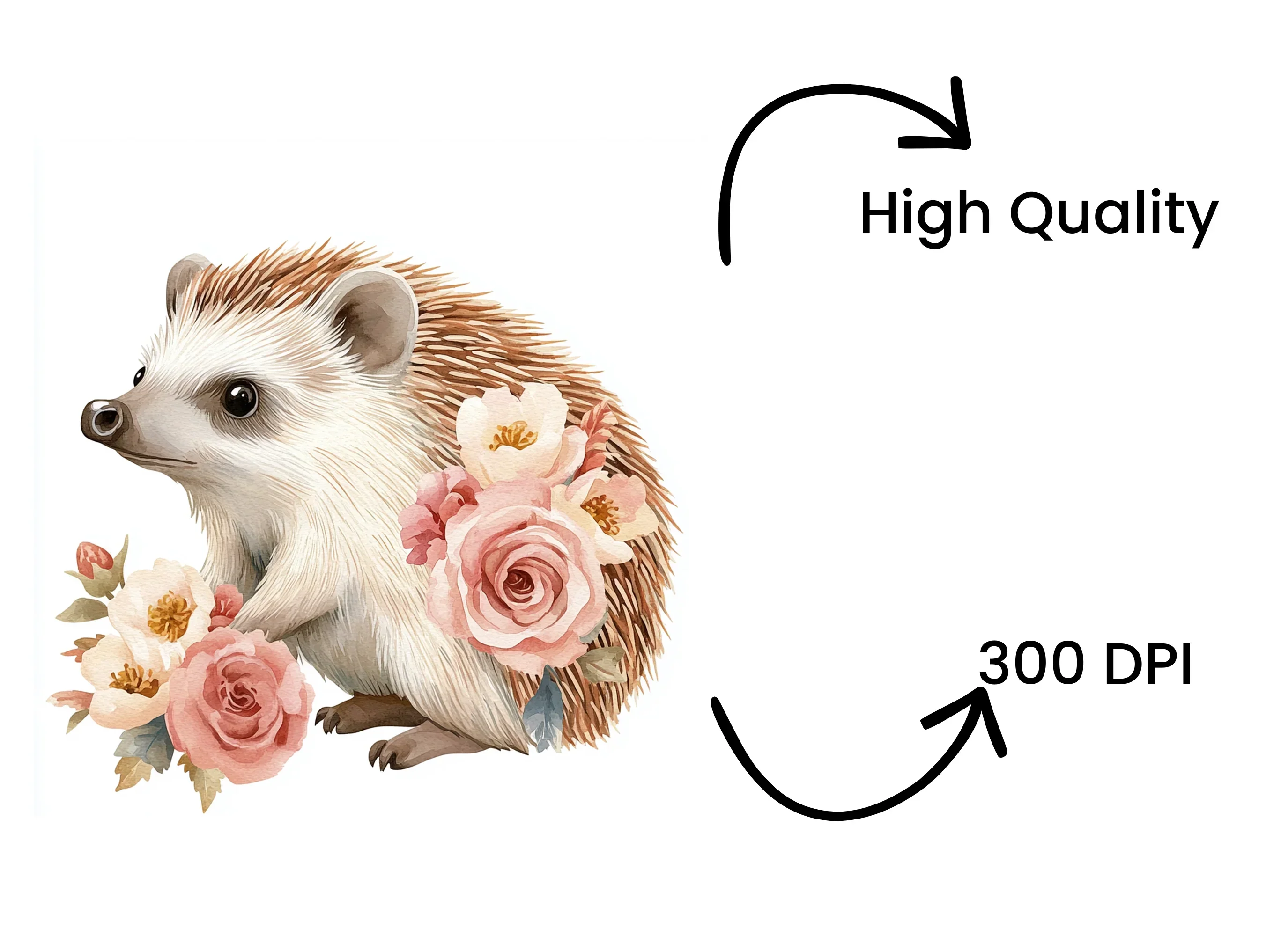 Cute Hedgehog Floral Clipart Bundle - Image 4