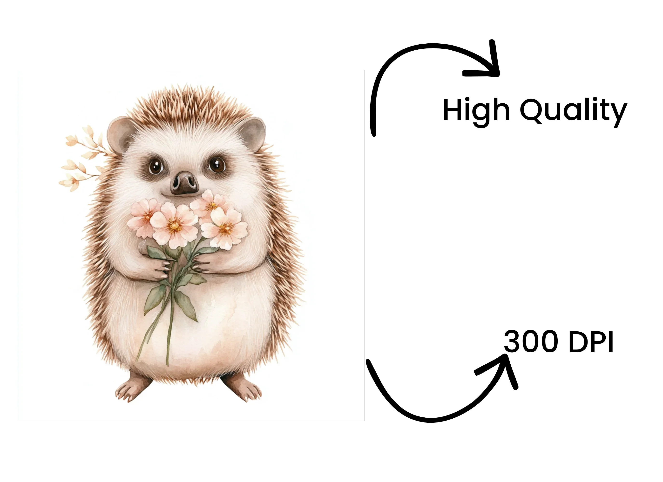 Cute Hedgehog with Flowers Clipart Bundle - Image 4