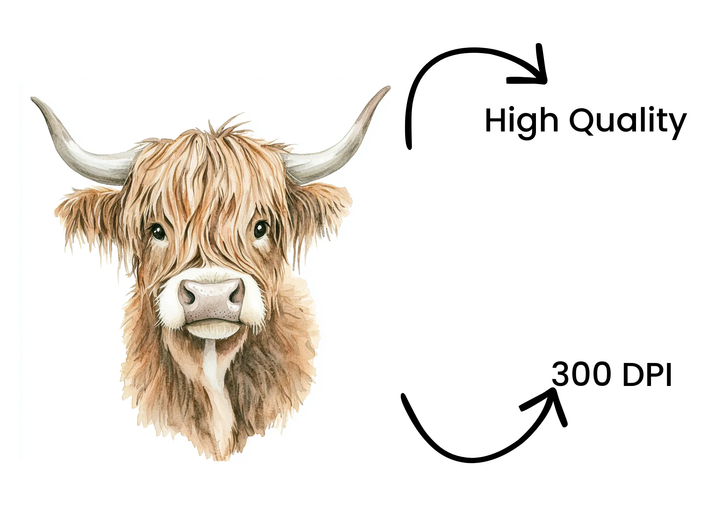 Cute Highland Cow Clipart Bundle - Image 4
