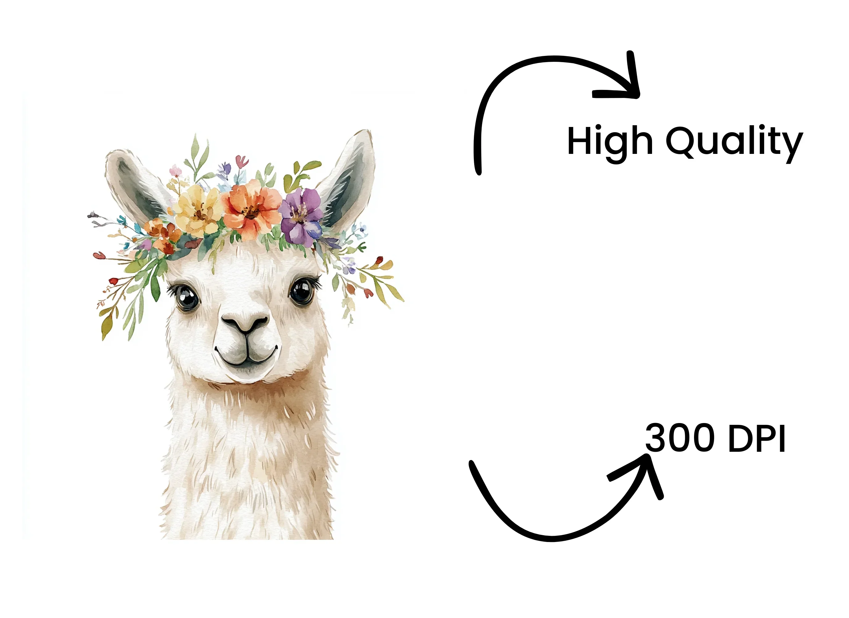 Cute Llama Flower Crowns Clipart Bundle - Image 4