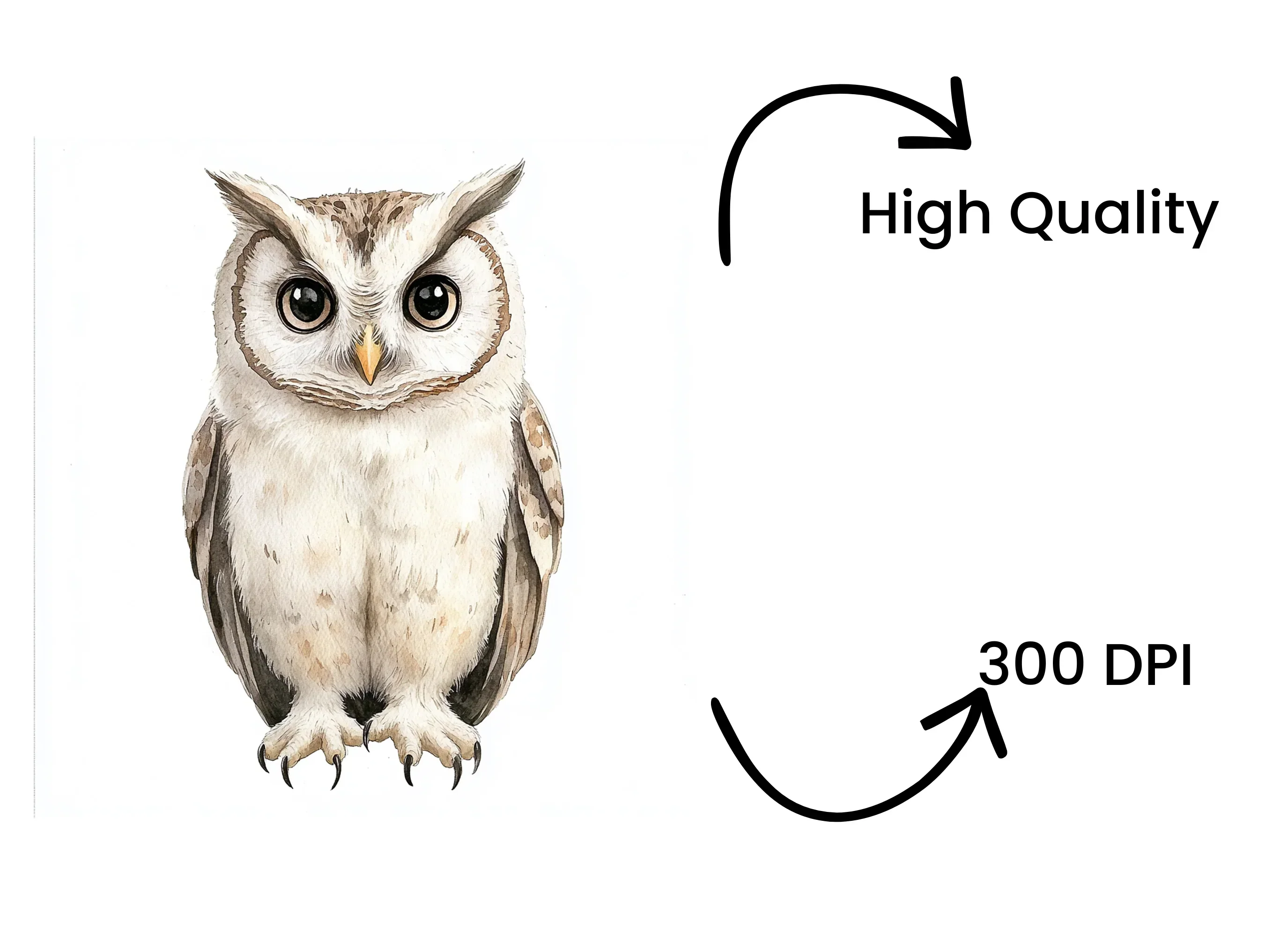 Cute Owl Illustrations Clipart Bundle - Image 4