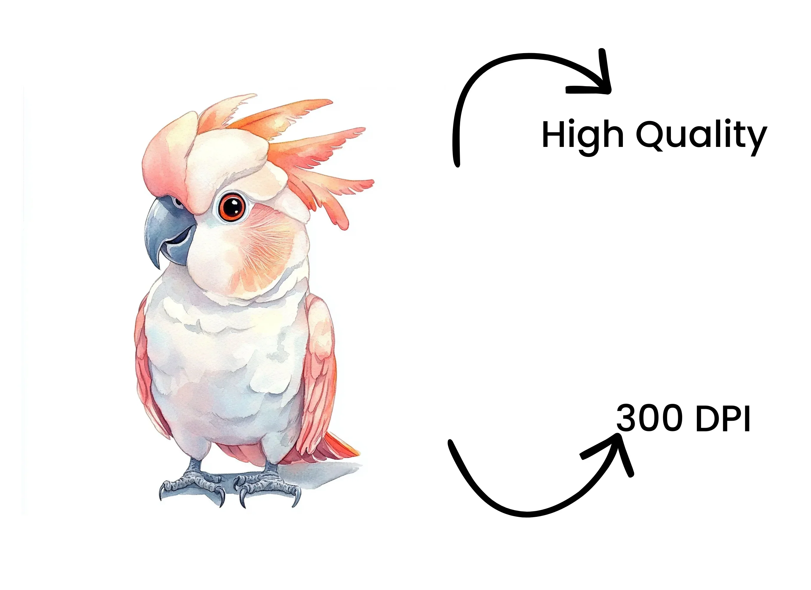 Cute Pink Cockatoo Clipart Bundle - Image 4