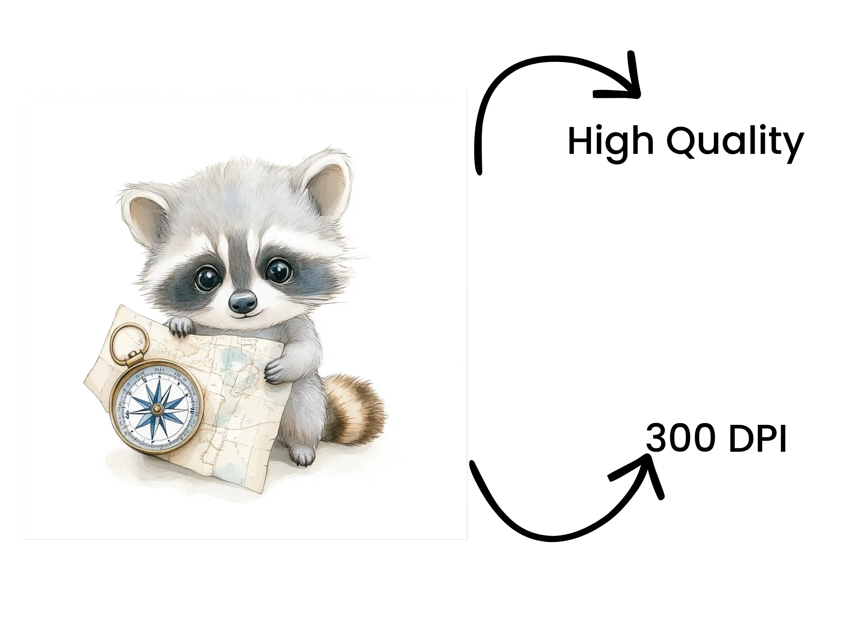 Cute Raccoon Explorer Clipart Bundle - Image 4