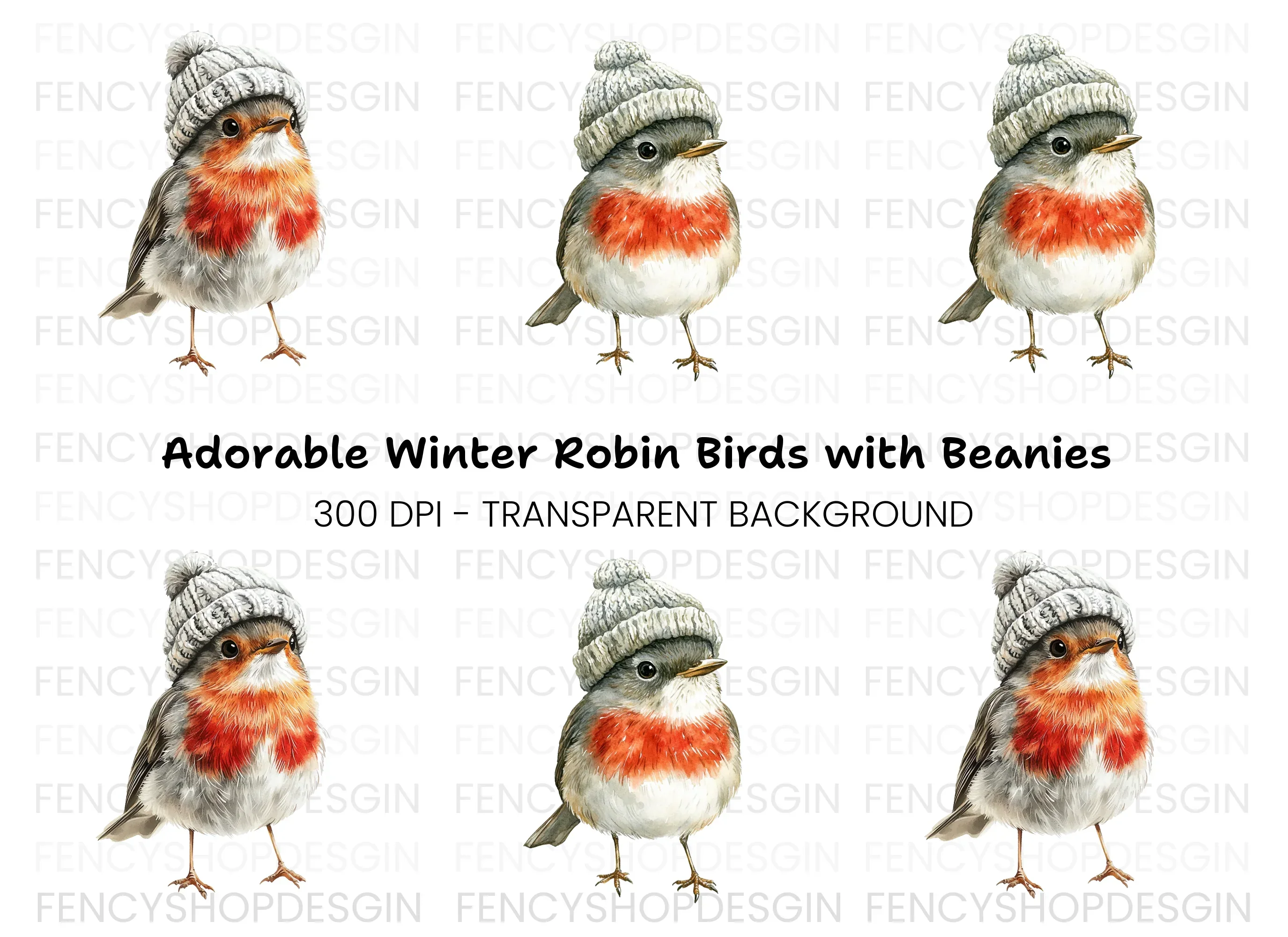 Cute Robin Bird in Winter Hat Clipart Bundle