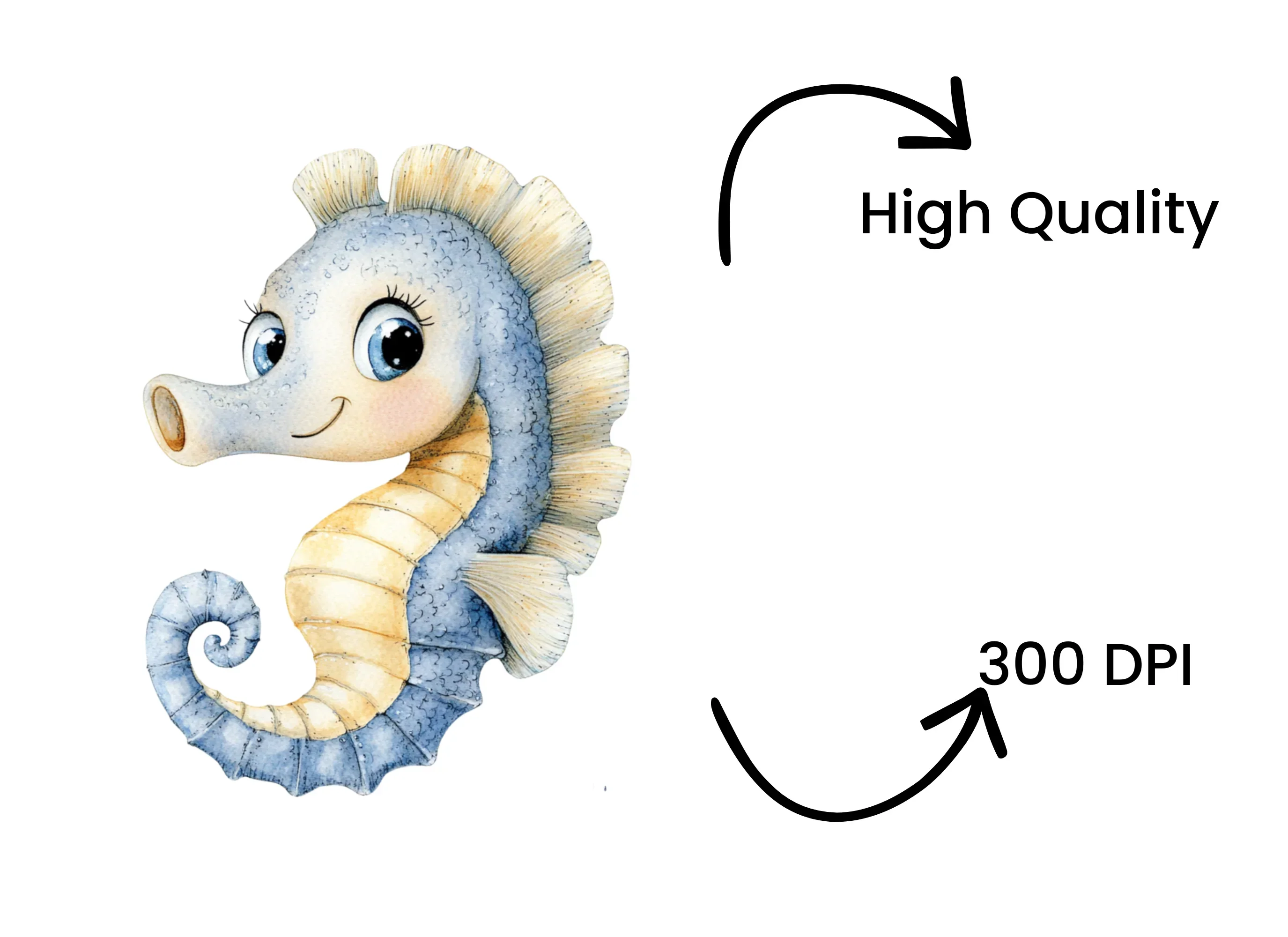 Cute Seahorse Clipart Bundle - Image 4