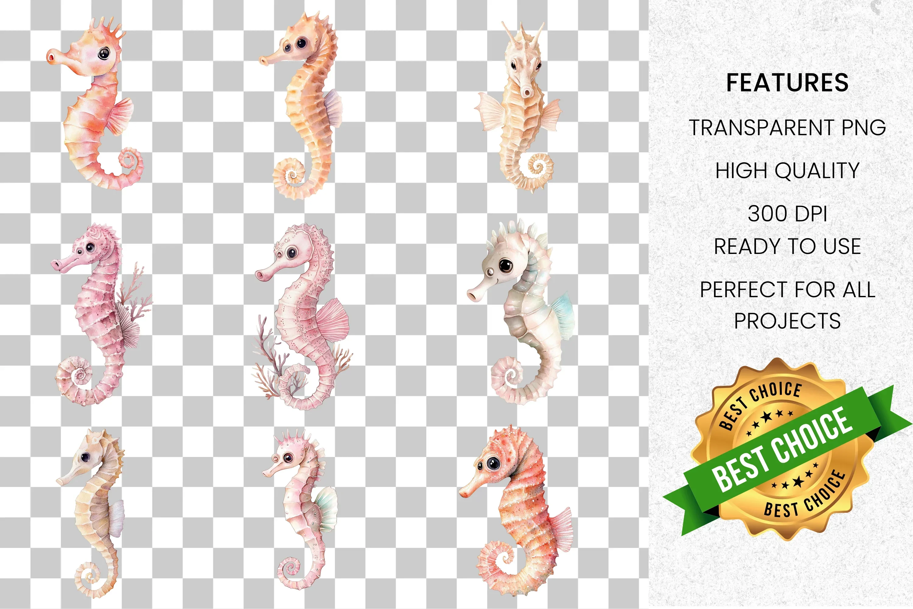 Cute Seahorse Clipart Bundle - Image 8