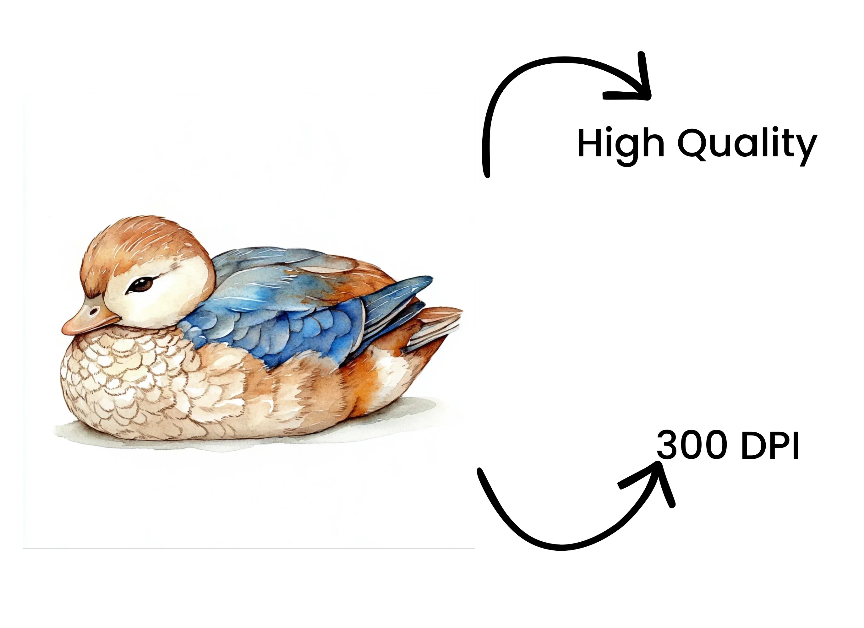 Cute Sleeping Duckling Clipart Bundle - Image 4