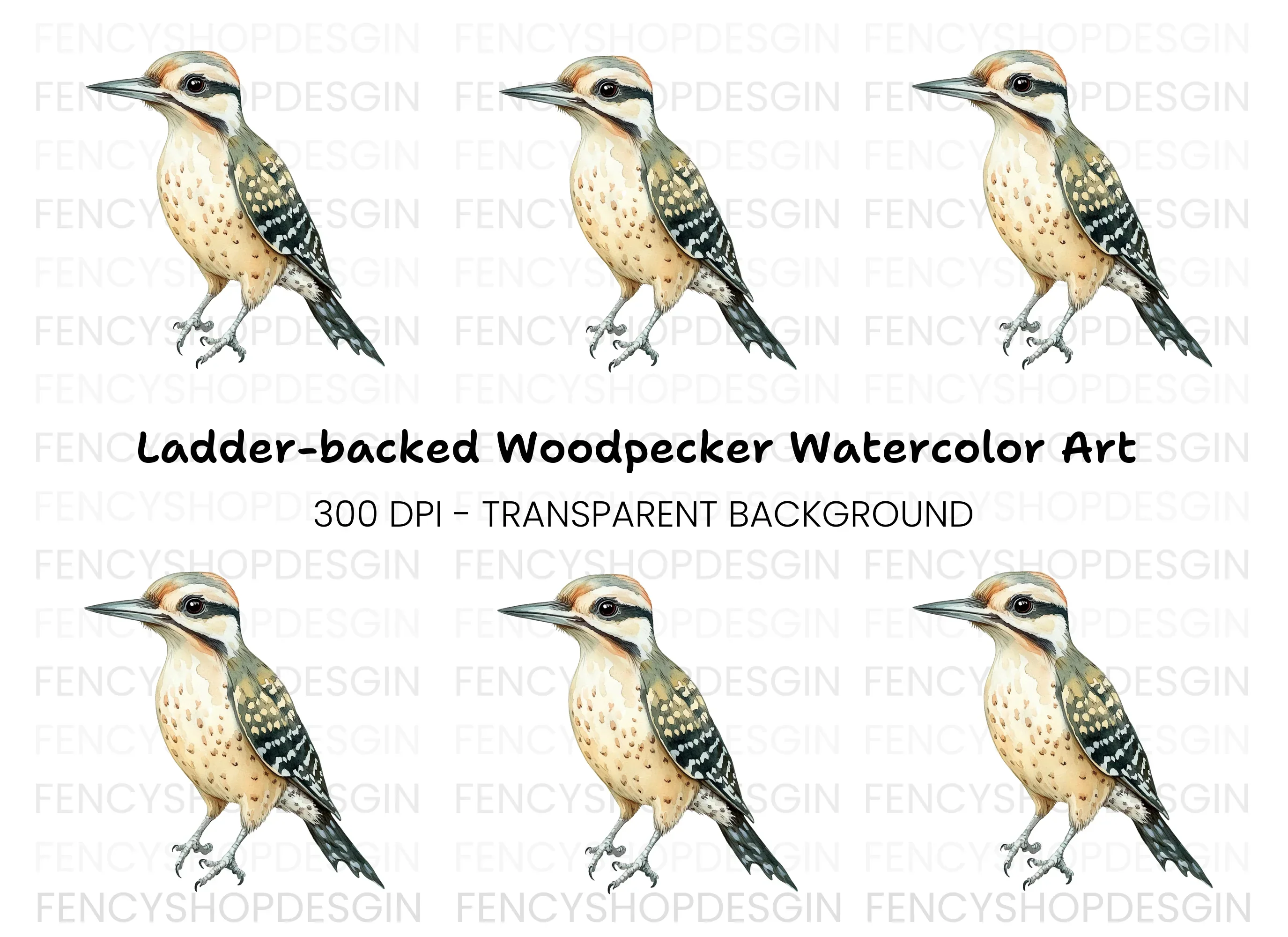 Cute Spotted Woodpecker Clipart Bundle