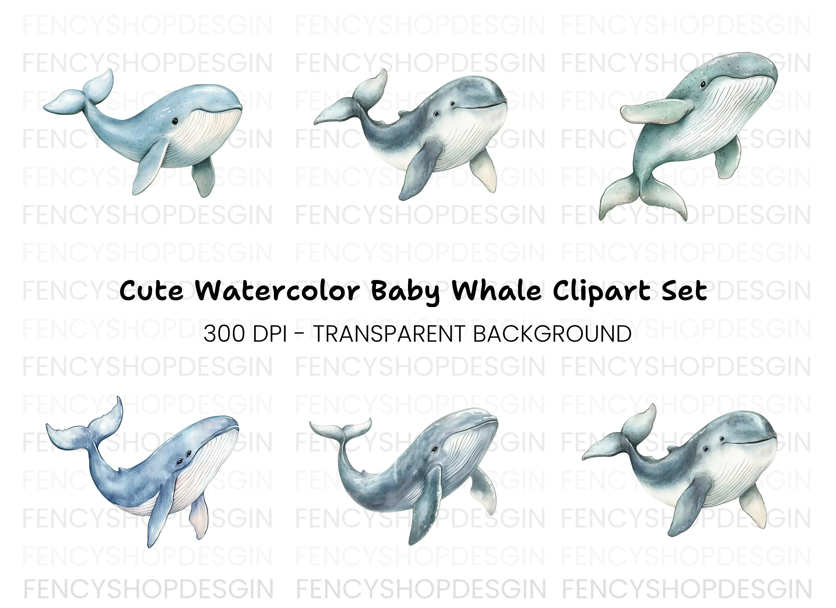 Cute Whale Clipart Bundle