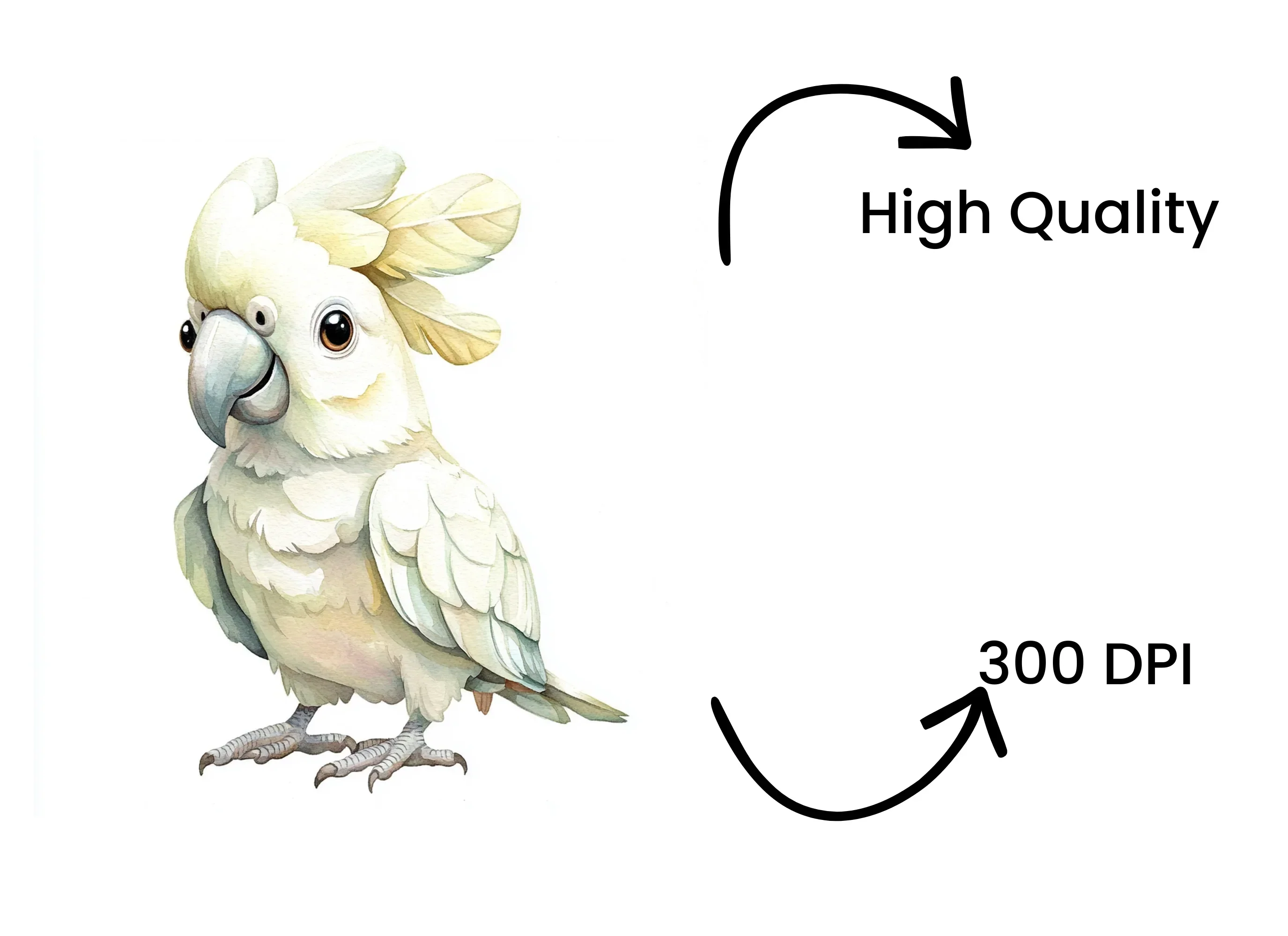 Cute White Cockatoo Clipart Bundle - Image 4