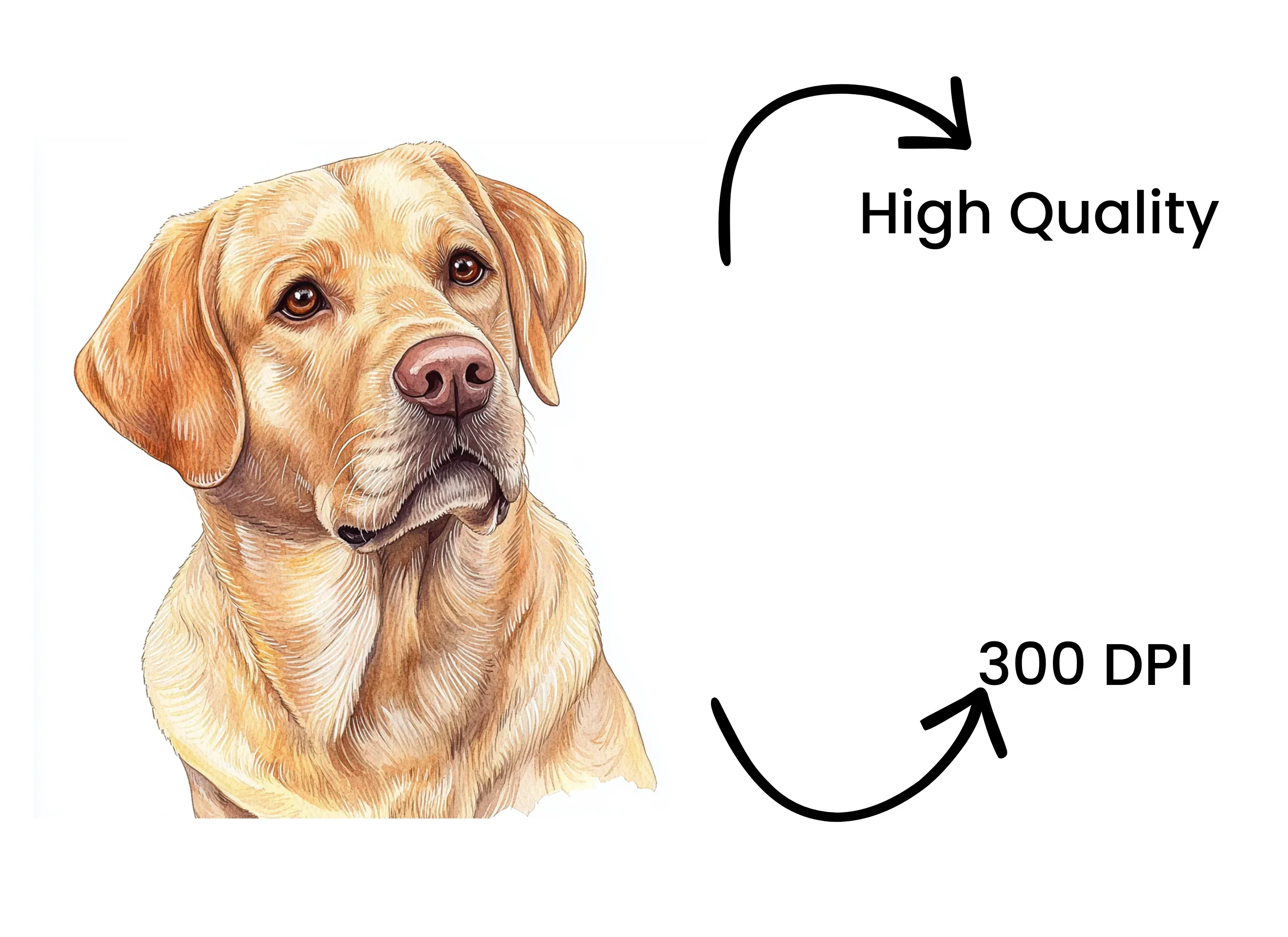 Cute Yellow Labrador Retriever Clipart Bundle - Image 4