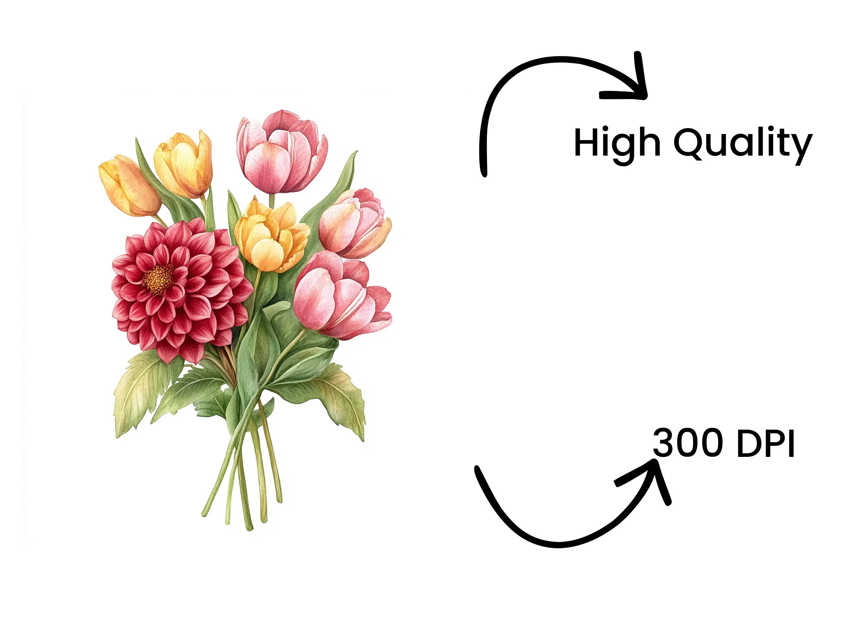 Dahlia and Tulip Bouquet Clipart Bundle - Image 4