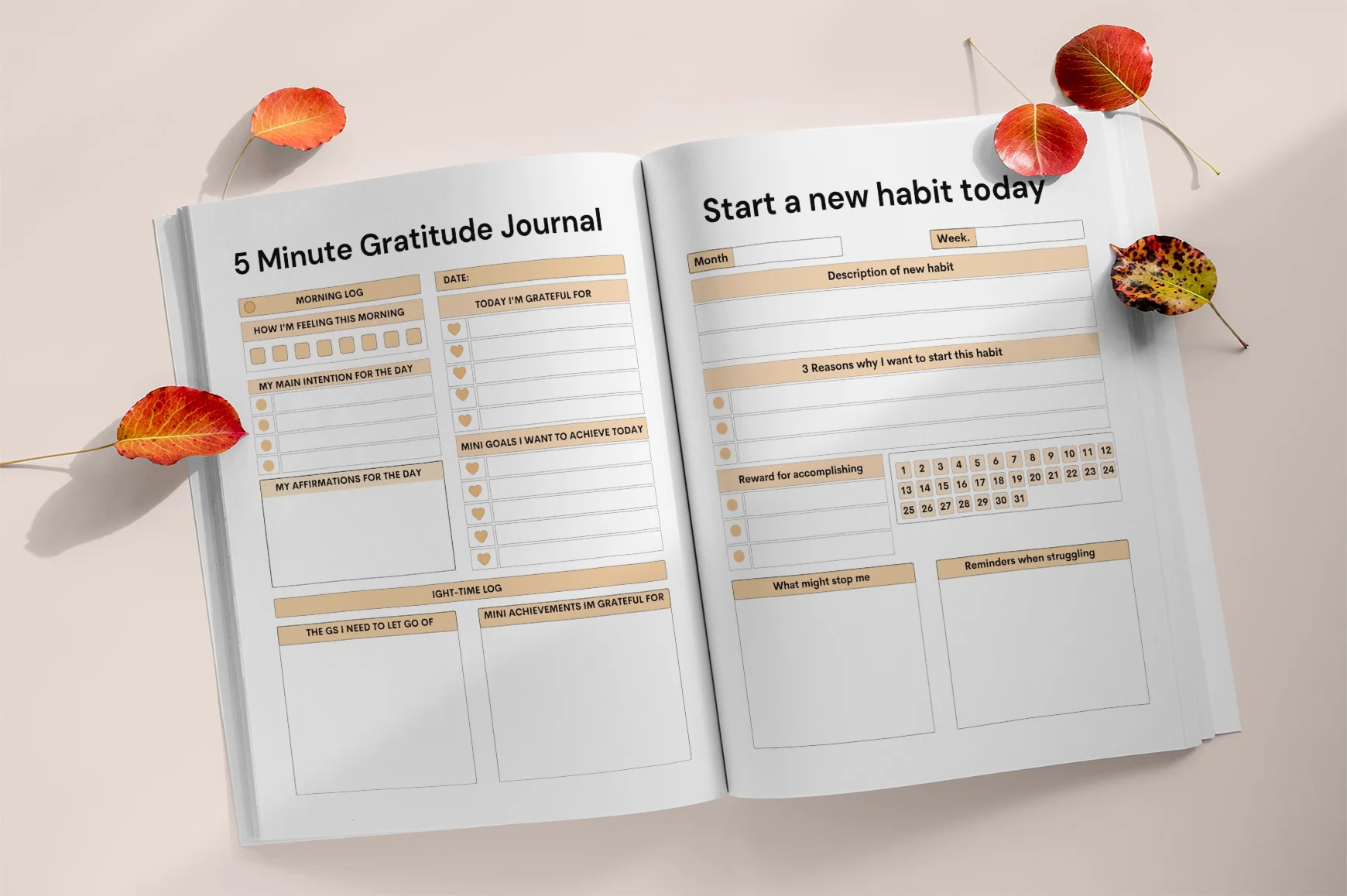 Daily Manifesting Success Journal - Image 4
