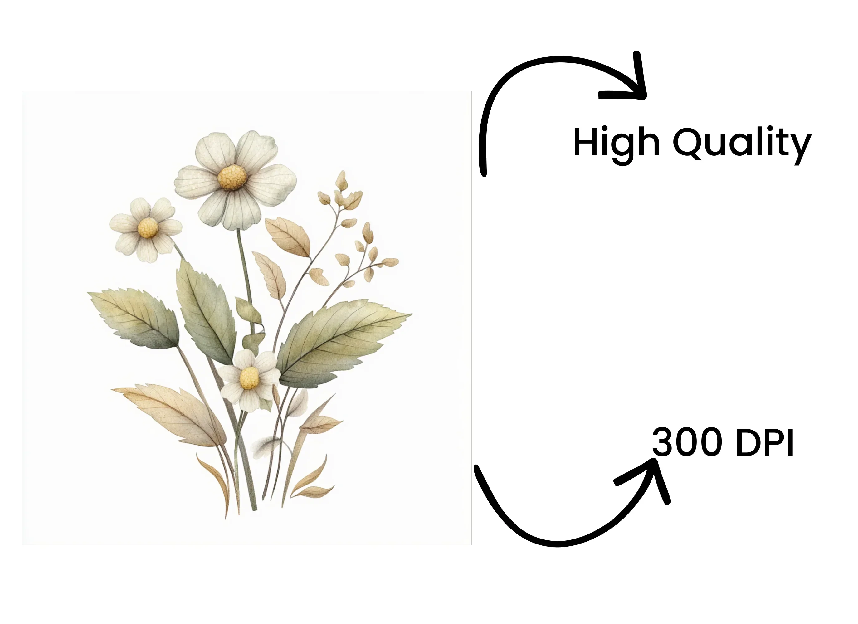 Daisy and Wildflower Clipart Bundle - Image 4