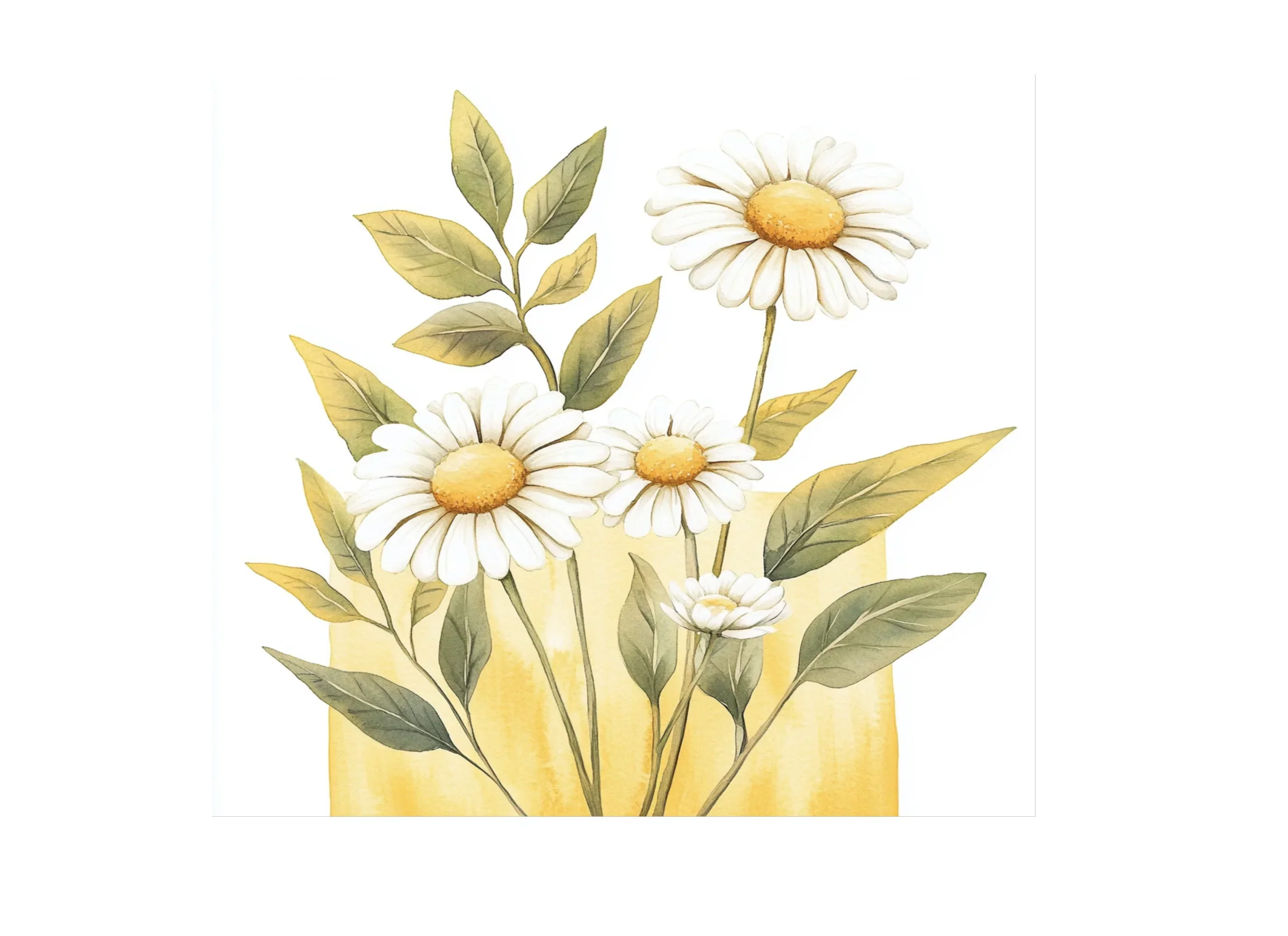 Daisy Clipart Bundle - Image 2