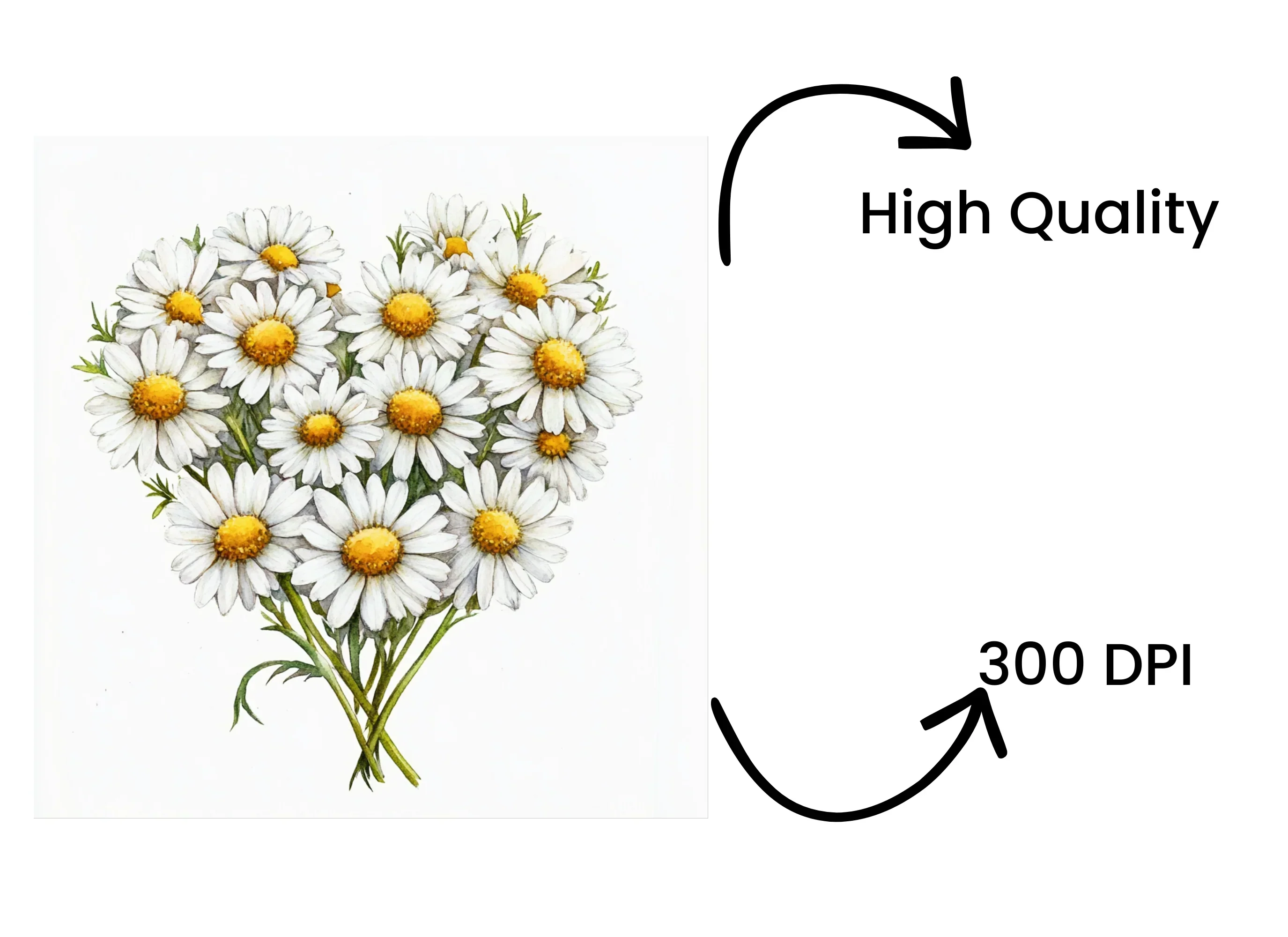 Daisy Flower Bouquets Clipart Bundle - Image 4