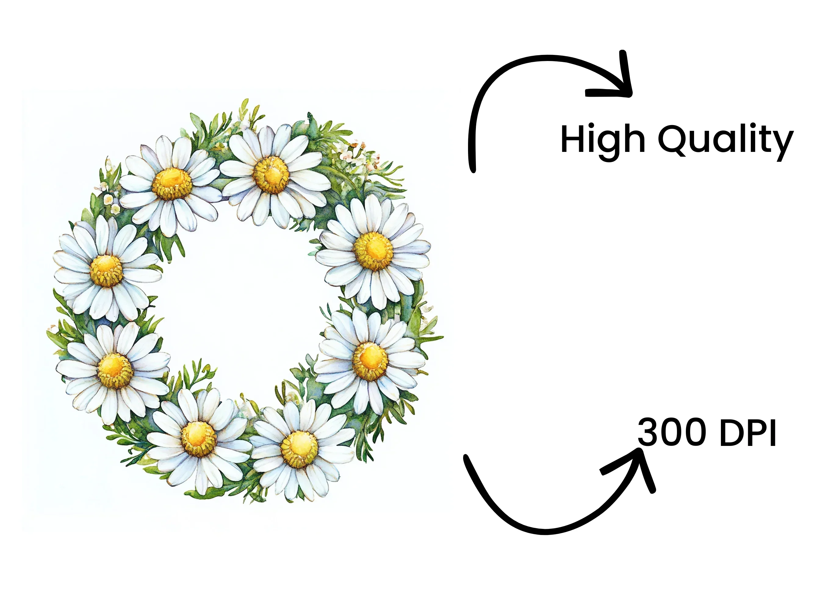 Daisy Wreaths Clipart Bundle - Image 4