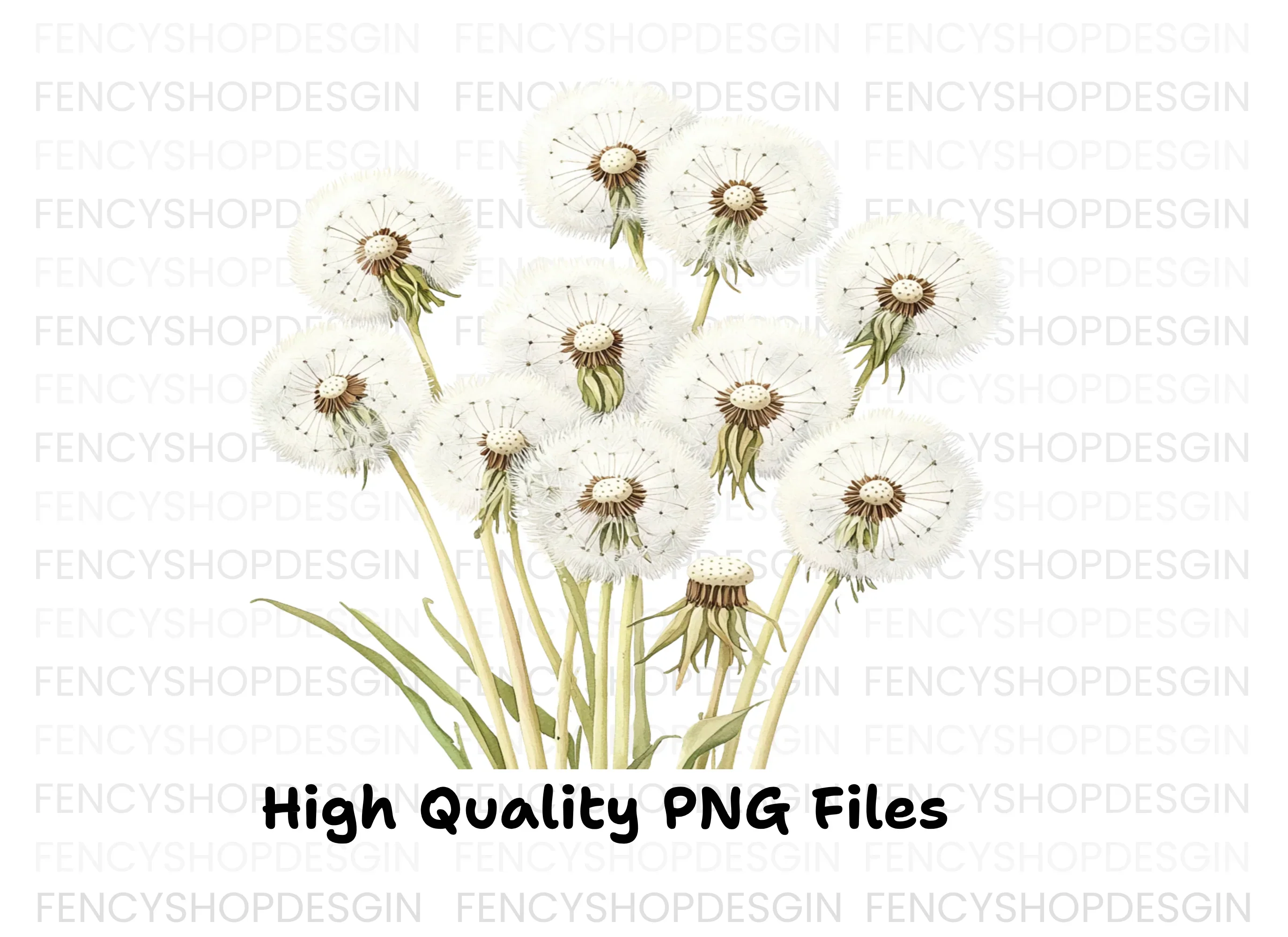 Dandelion Seed Head Clipart Bundle - Image 2