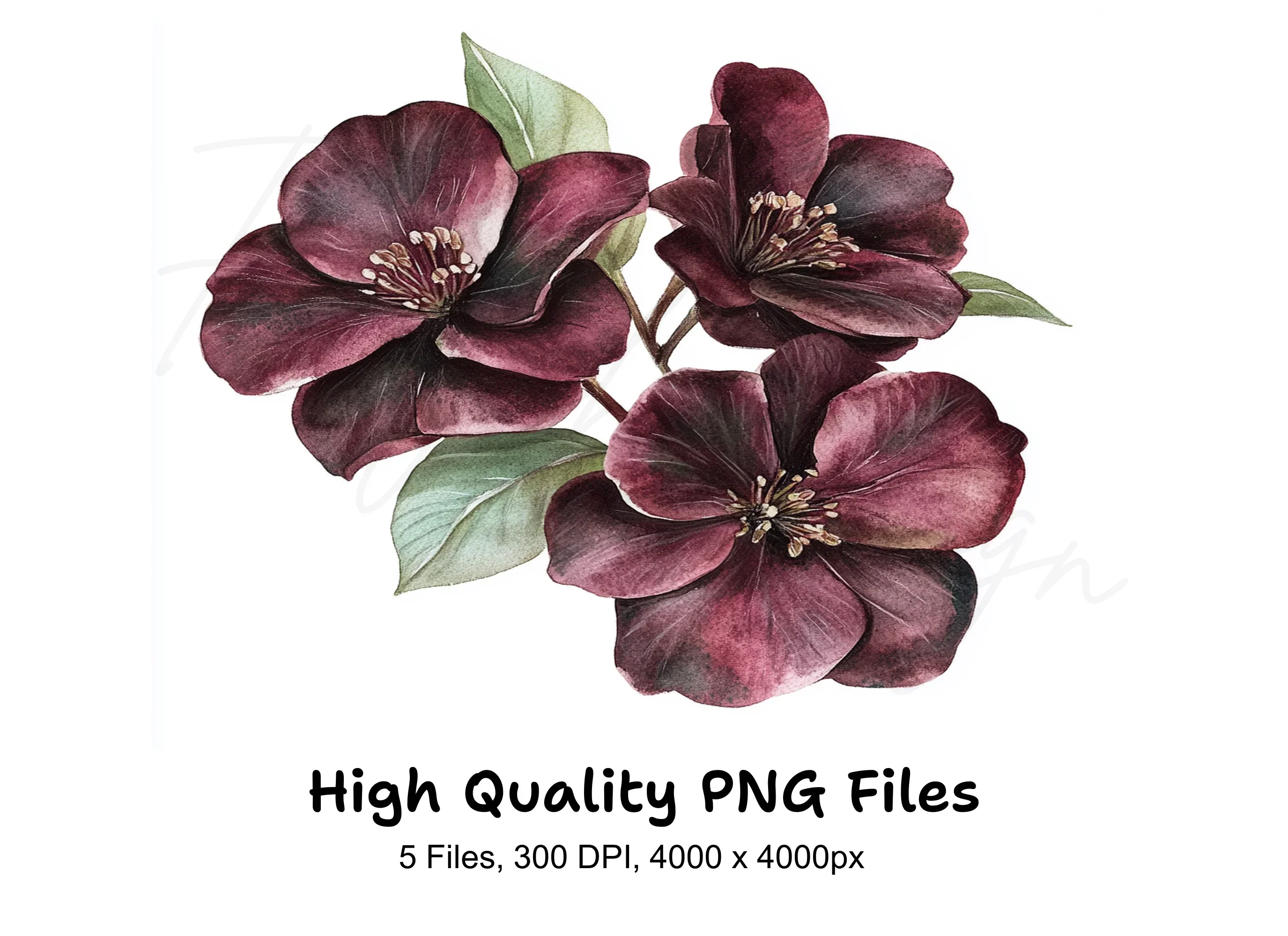 Dark Burgundy Flower Clipart Bundle