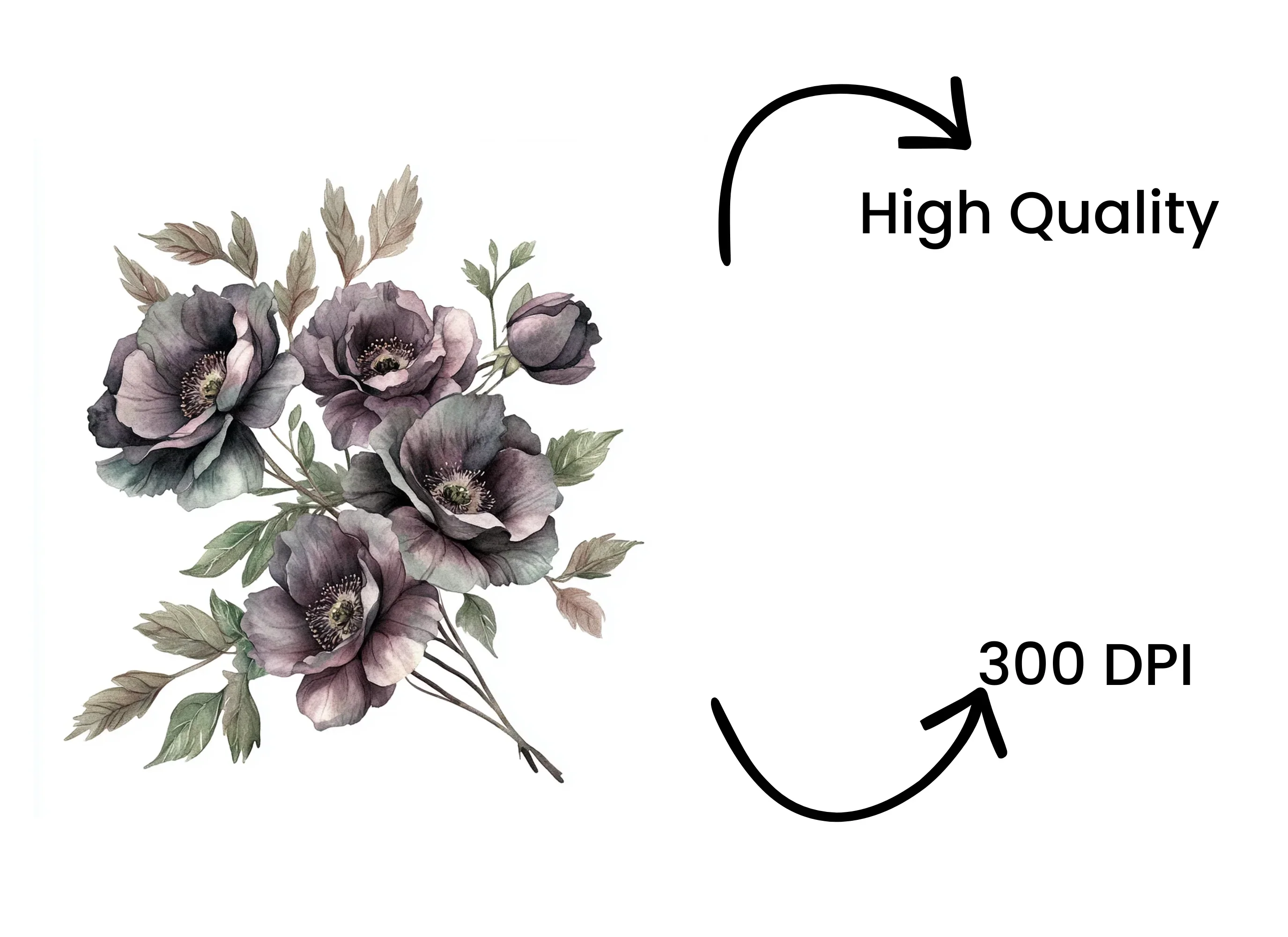 Dark Floral Clipart Bundle - Image 4