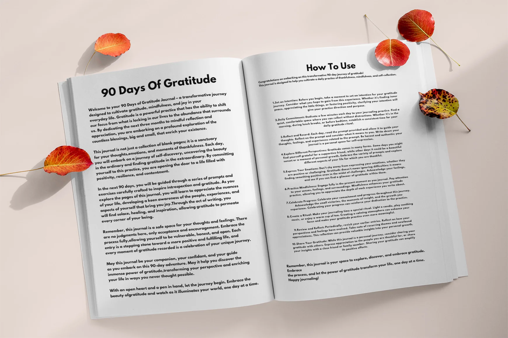 Days of Gratitude Writing Prompts - Image 2