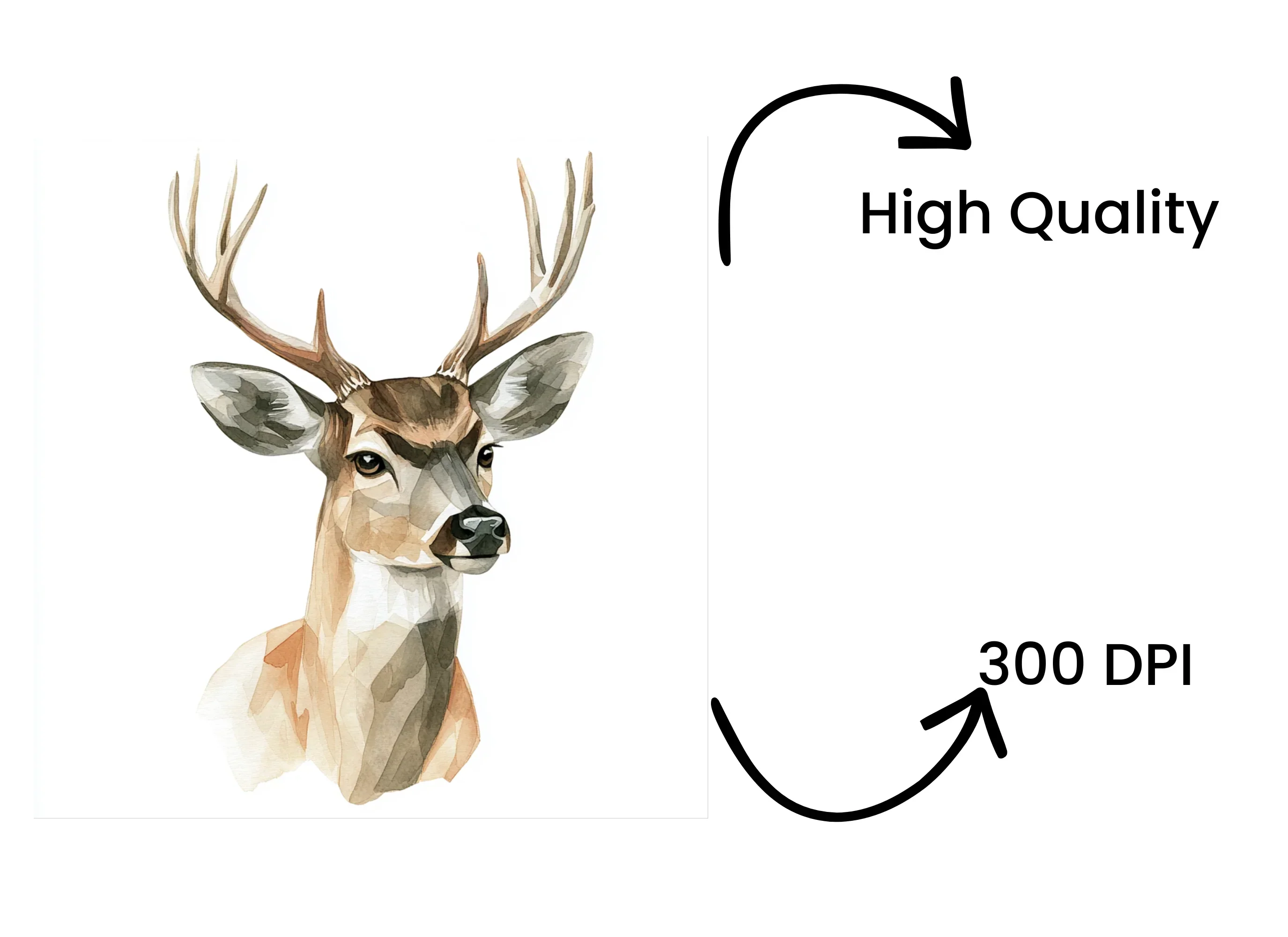 Deer Head Clipart Bundle - Image 4
