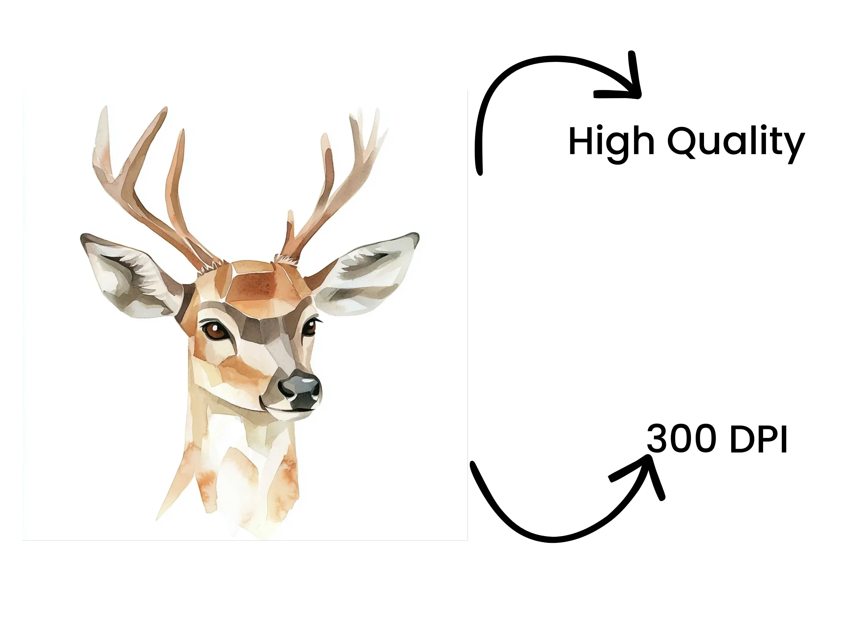 Deer Head Clipart Bundle - Image 4