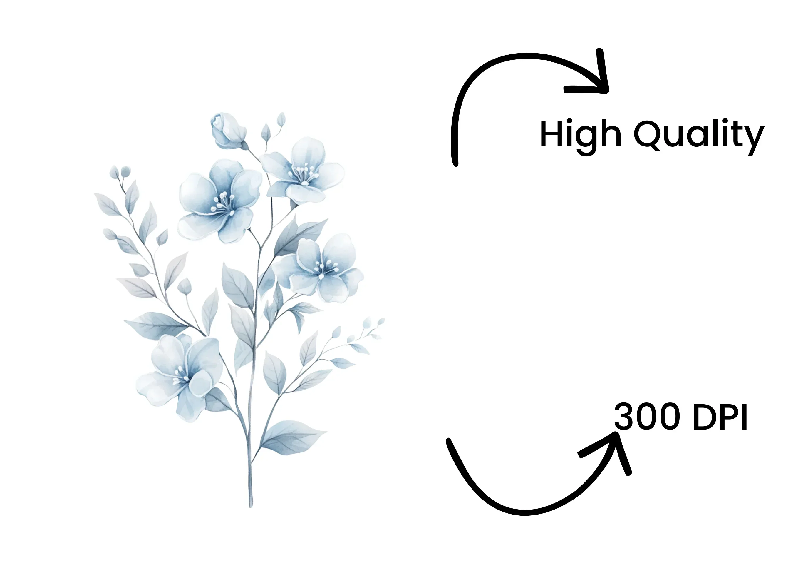 Delicate Blue Floral Clipart Bundle - Image 4