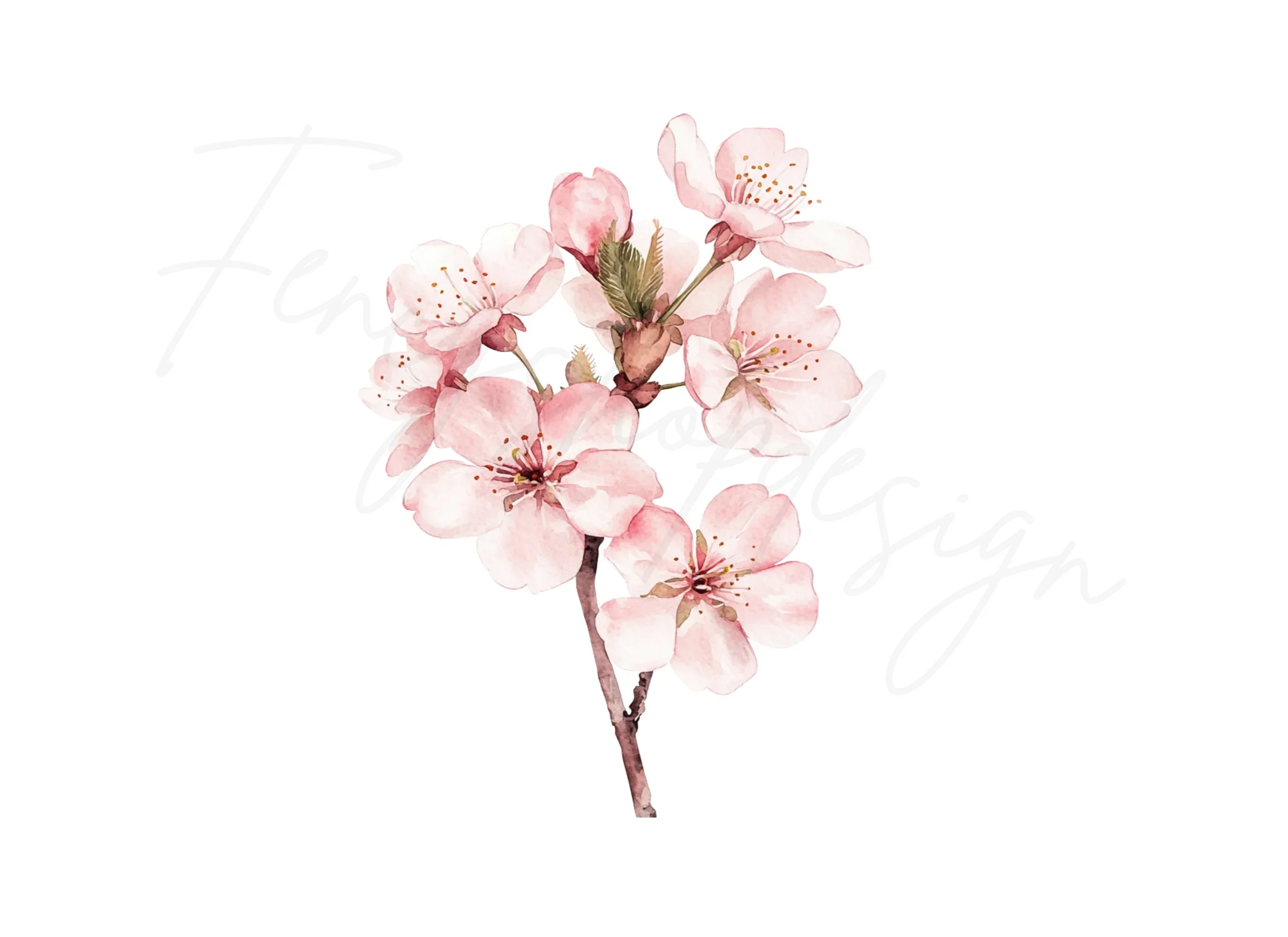 Delicate Cherry Blossom Clipart Bundle - Image 2
