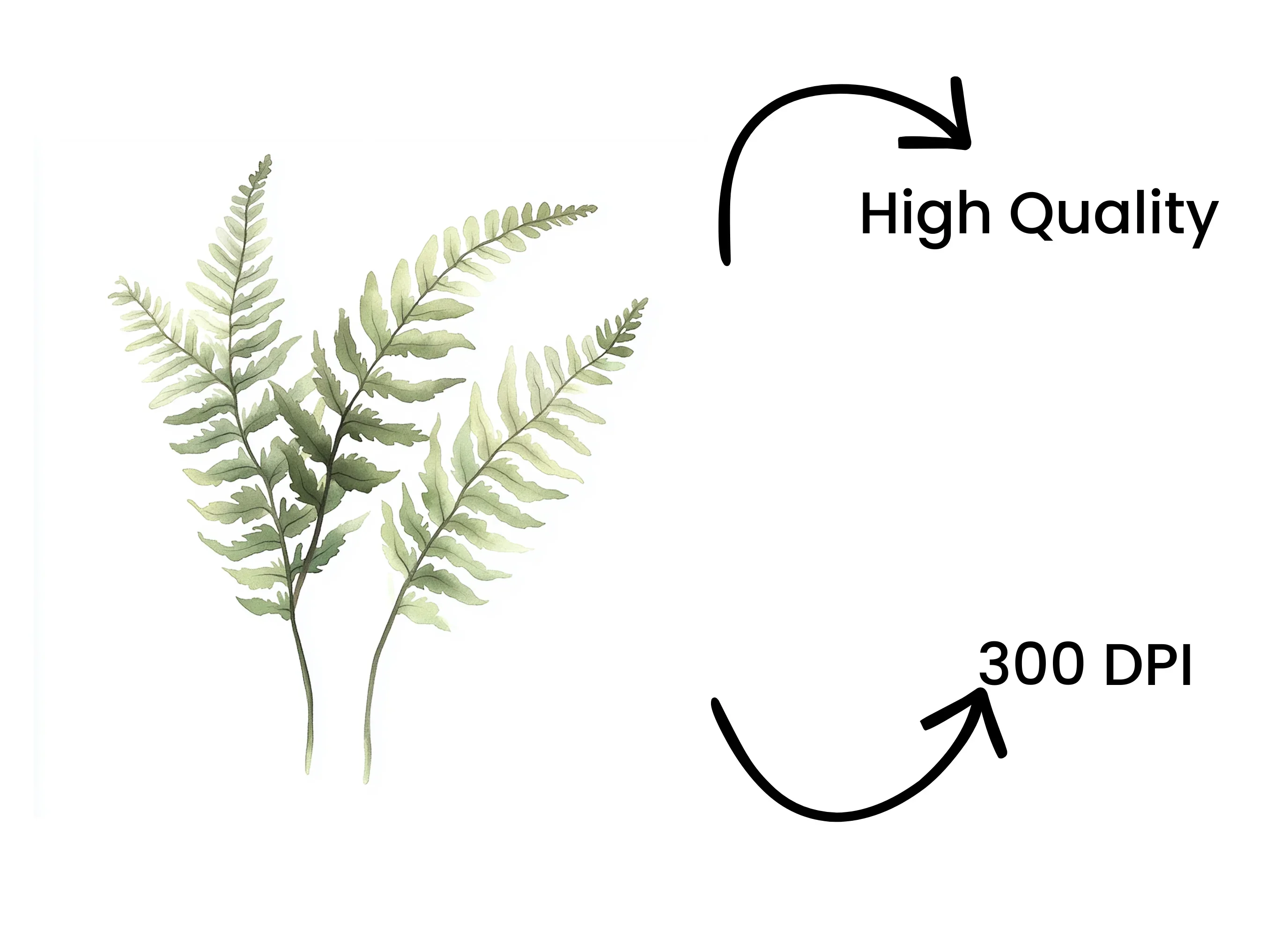 Delicate Fern Clipart Bundle - Image 4