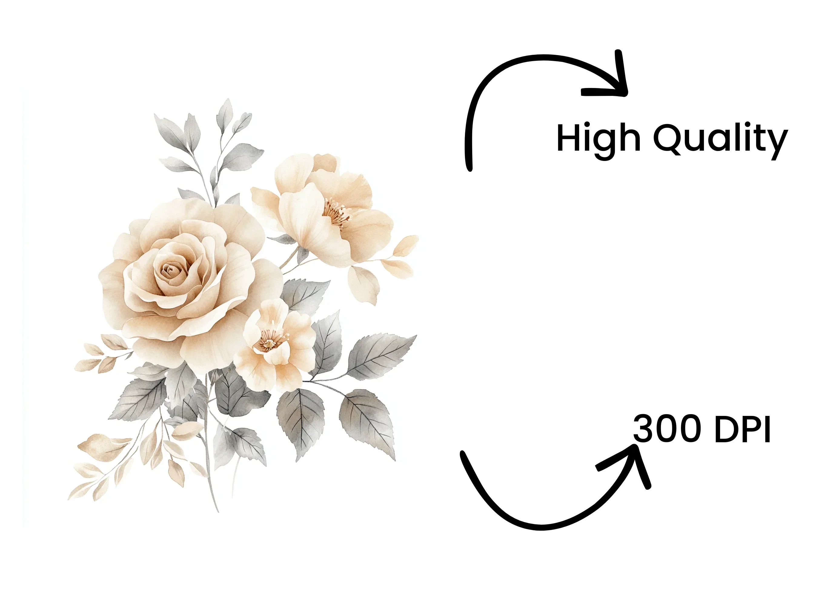 Delicate Rose Clipart Bundle - Image 4