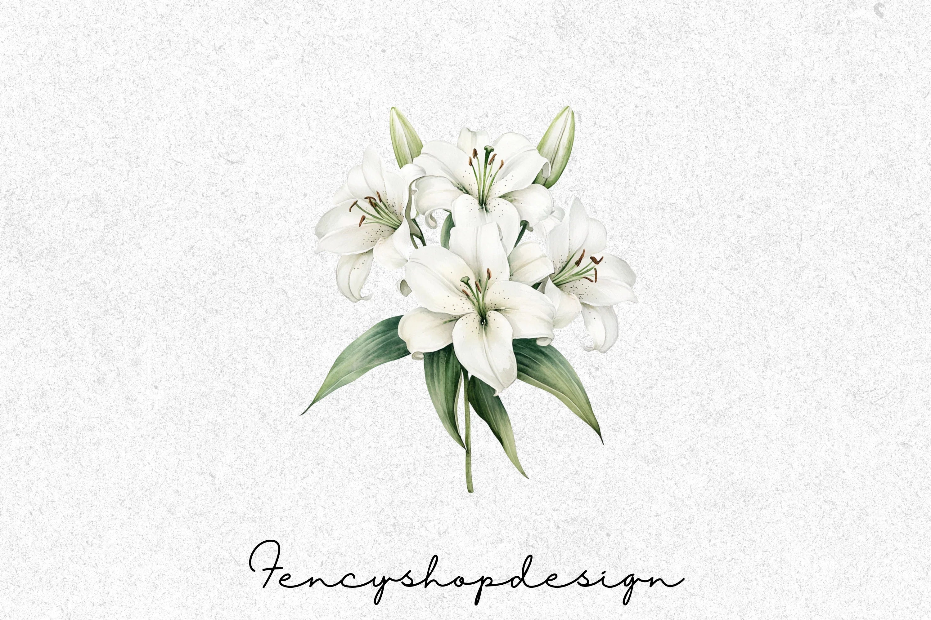 Delicate White Flowers Clipart Bundle - Image 8