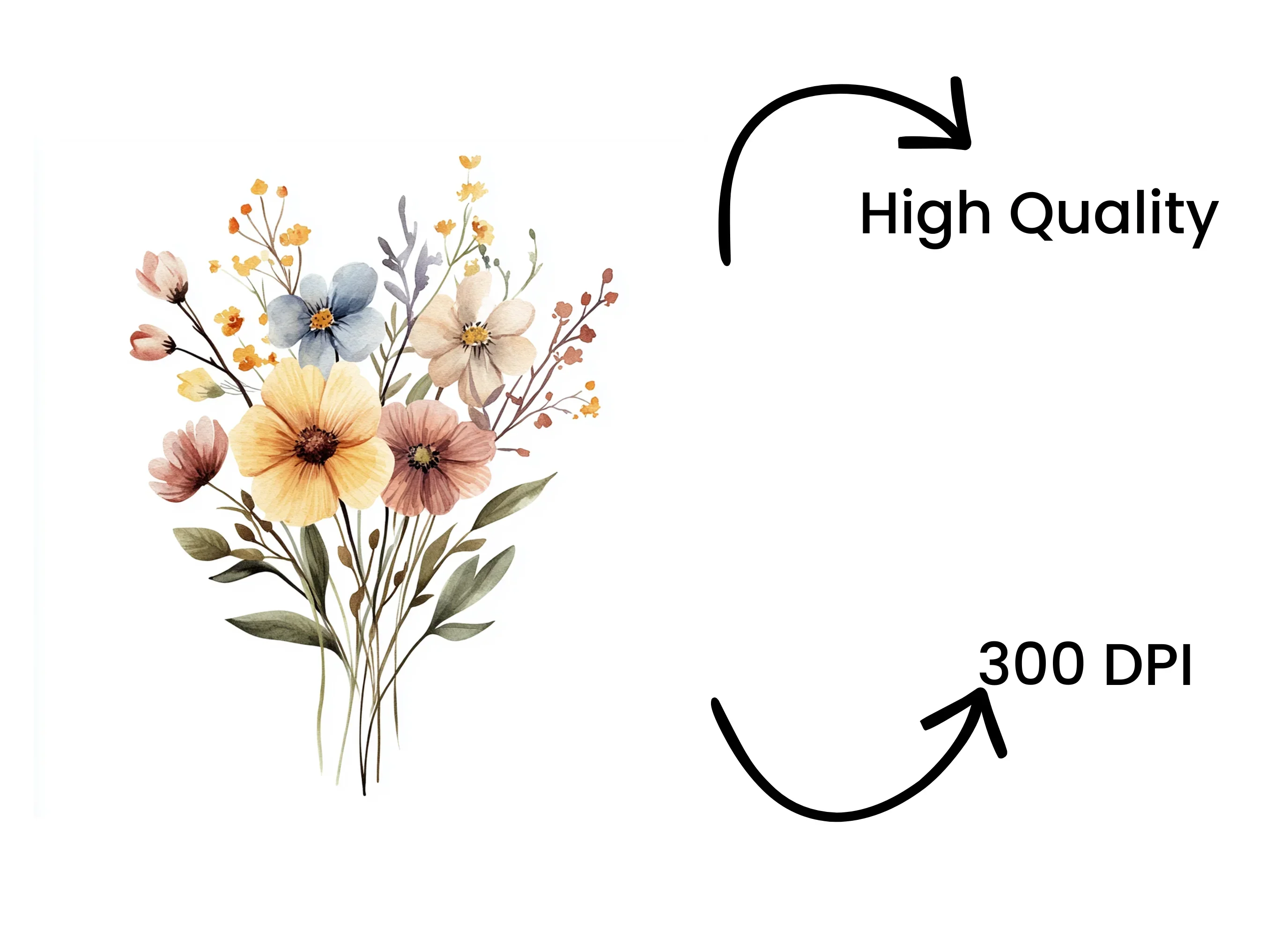 Delicate Wildflower Bouquet Illustrations Clipart Bundle - Image 4