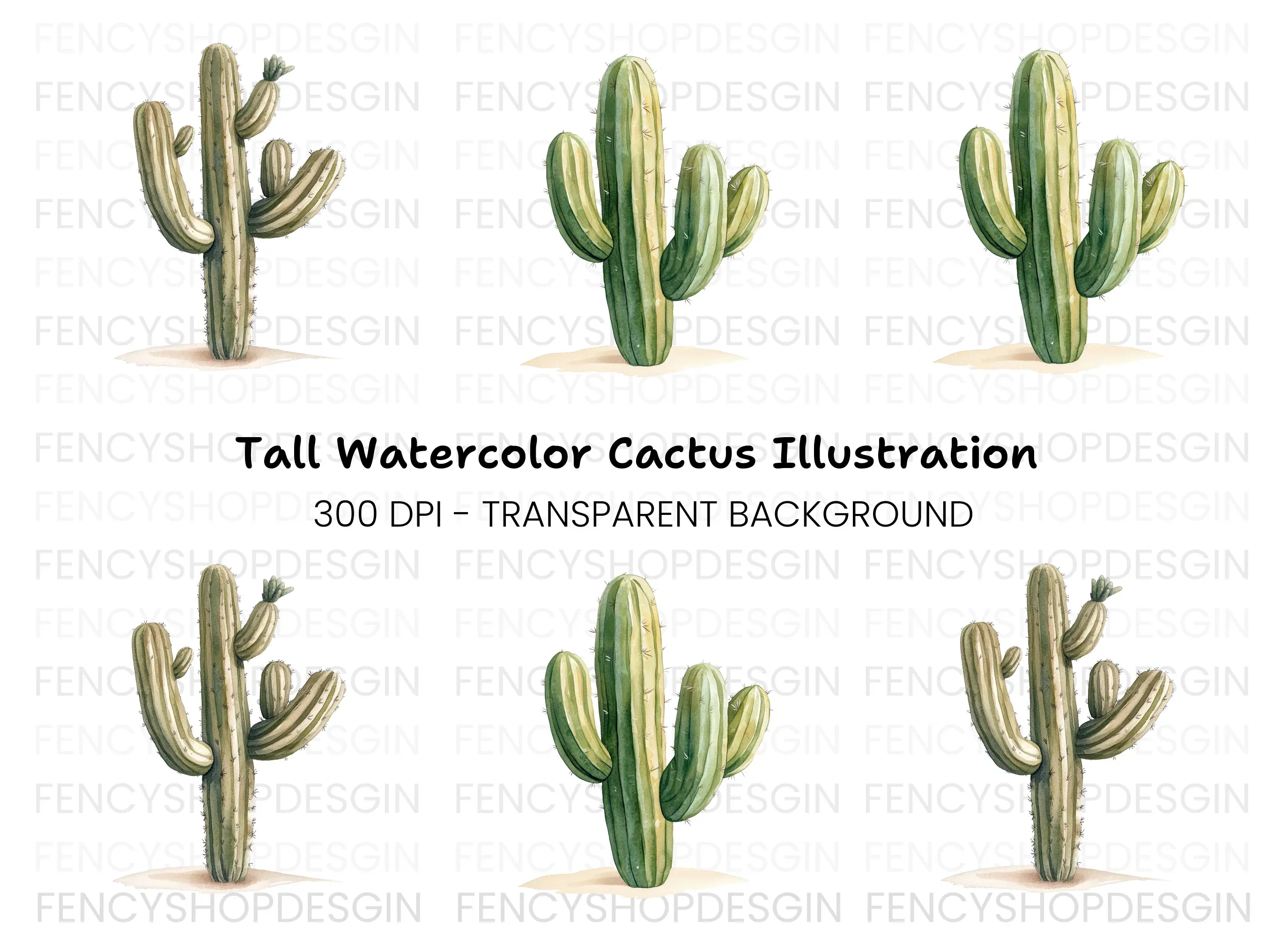 Desert Cactus Illustration Clipart Bundle