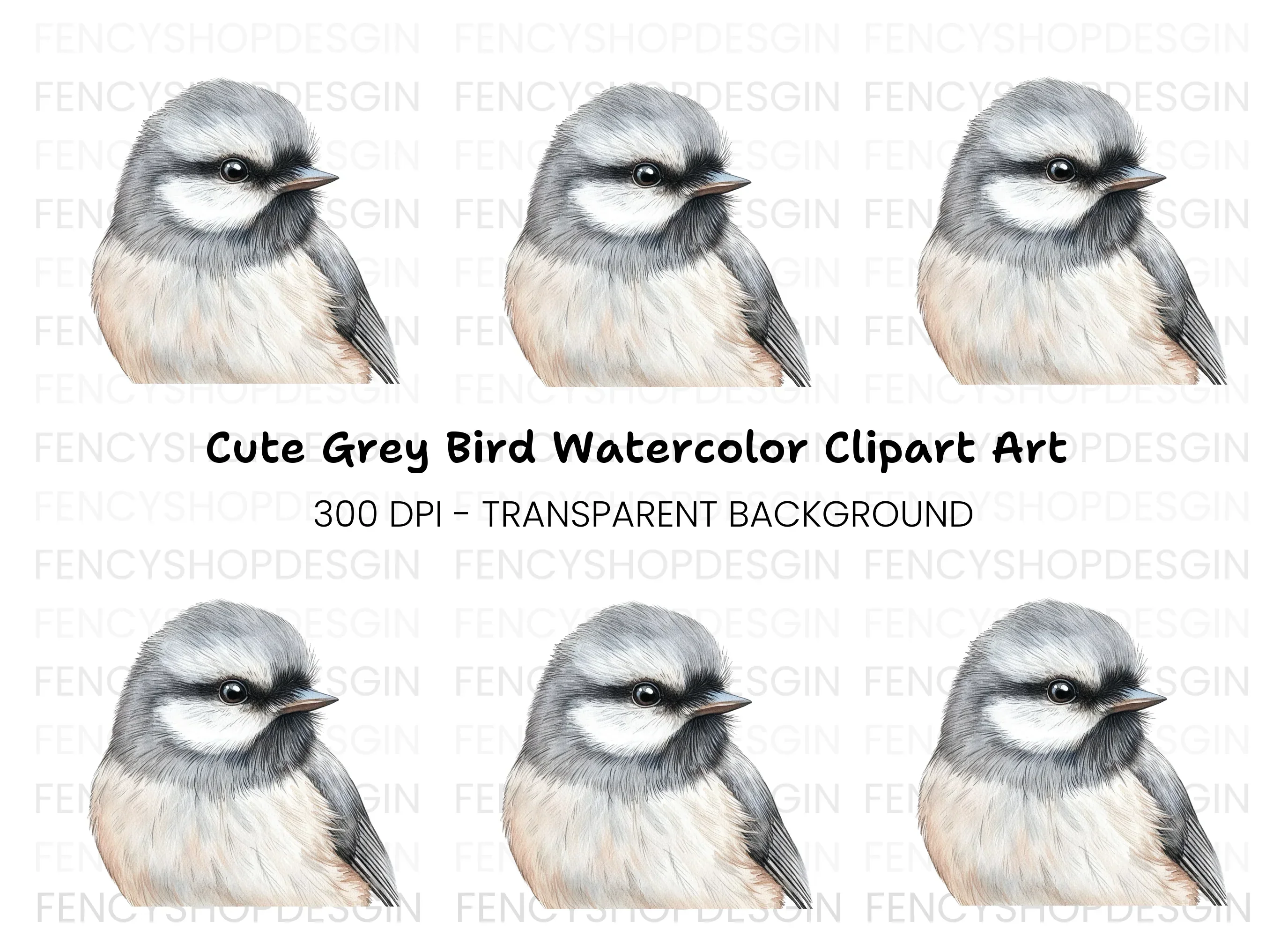 Detailed Bird Head Illustration Clipart Bundle