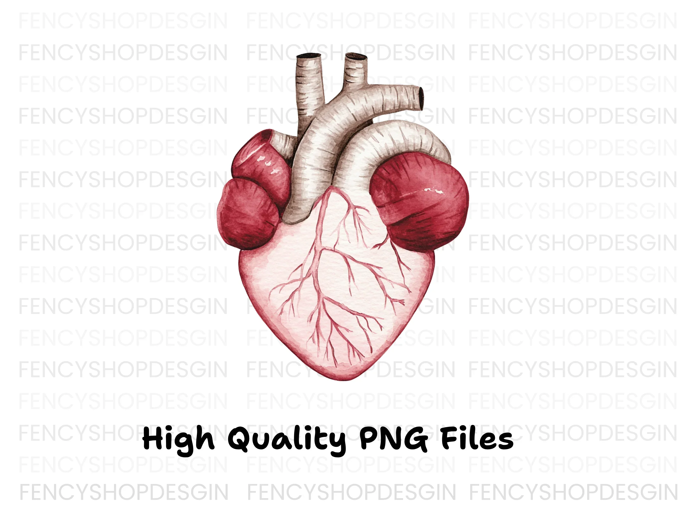 Detailed Human Heart Anatomy Clipart Bundle - Image 2