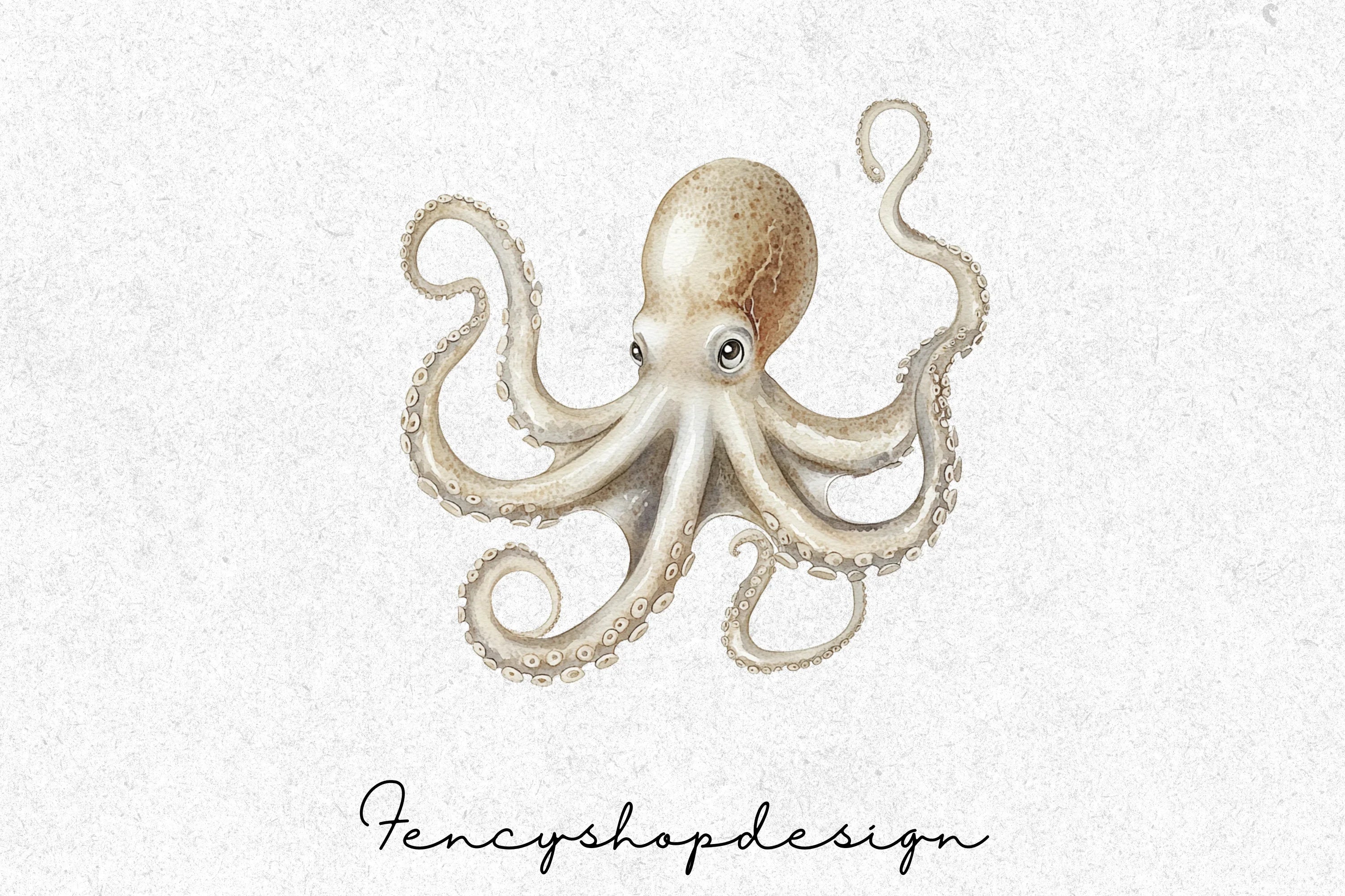 Detailed Octopus Aquatic Life Clipart Bundle - Image 5