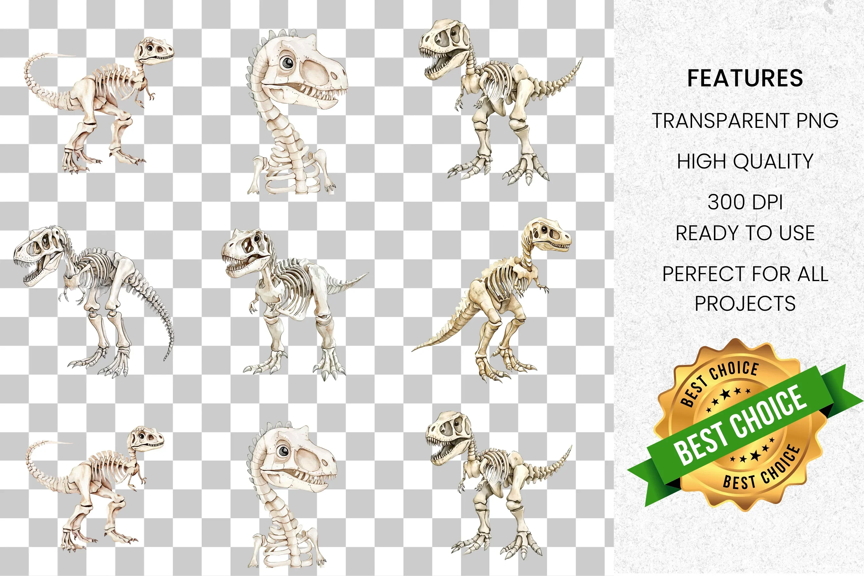 Dinosaur Skeleton Clipart Bundle - Image 2