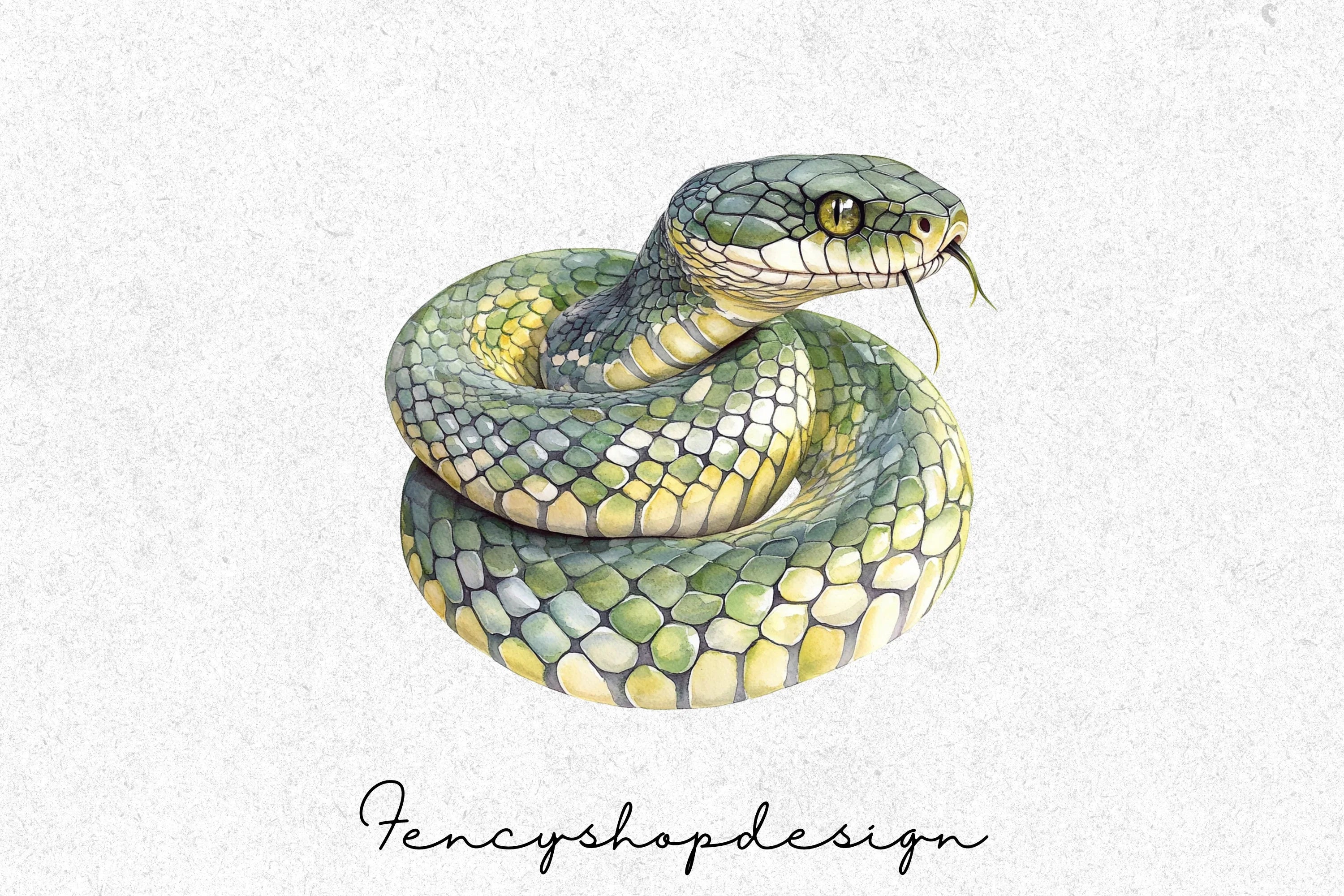 Diverse Snake Reptile Wildlife Clipart Bundle - Image 3